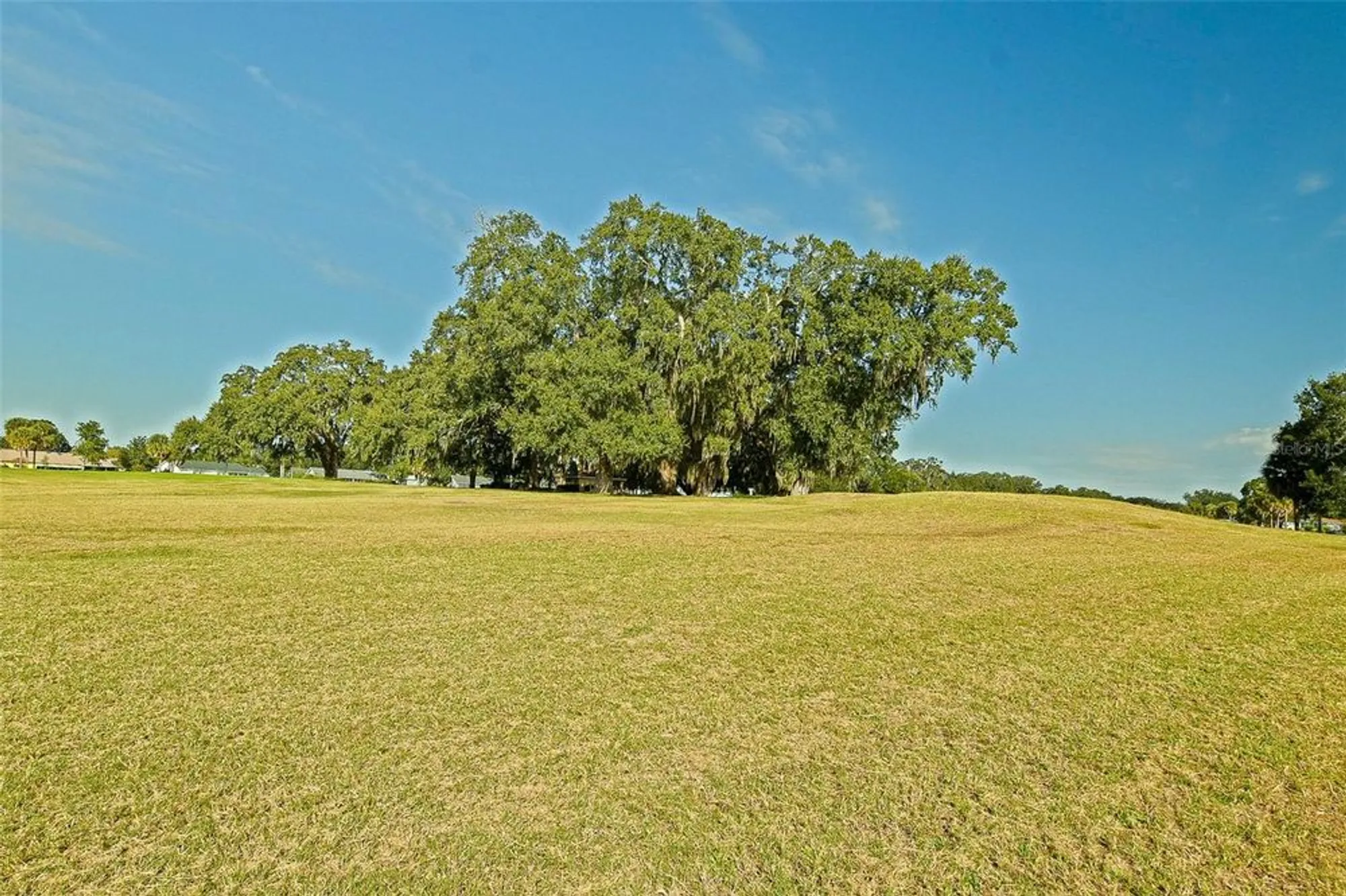Property Slideshow image 8 of 45 | 17920 se 100th ter, Summerfield, FL, 34491