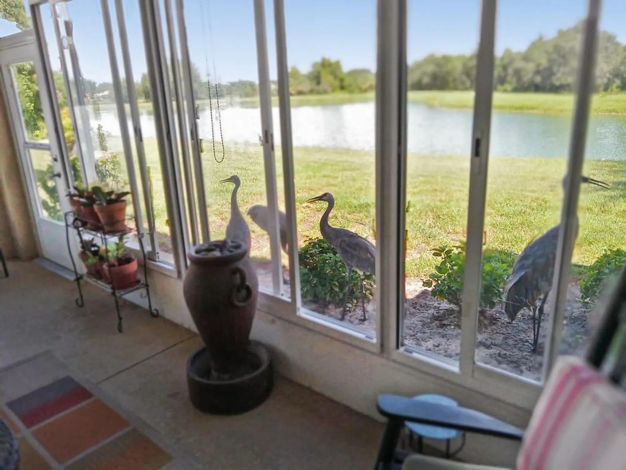 Property Slideshow image 26 of 39 | 27114 greenfly orchid ln, Leesburg, FL, 34748