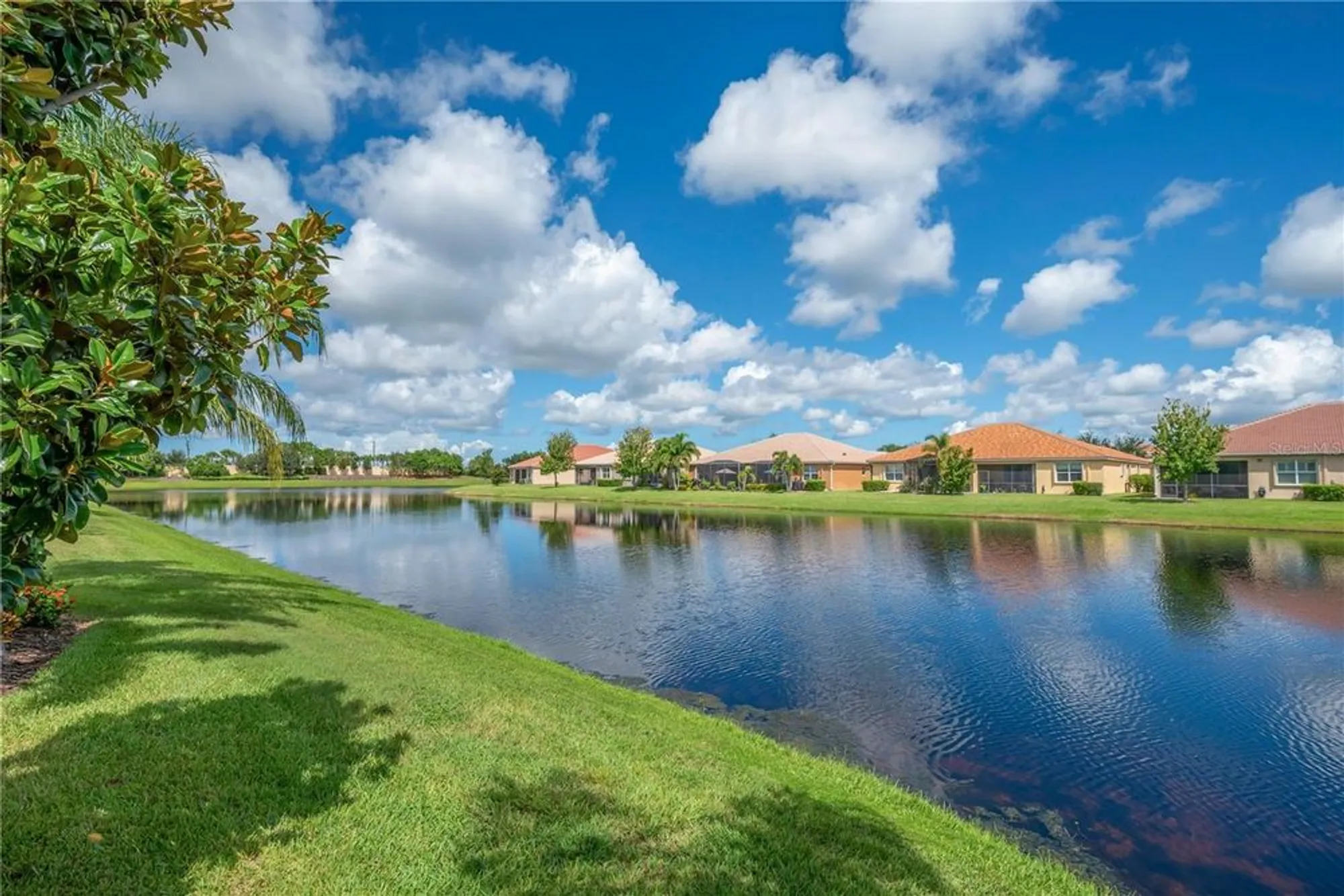 Property Slideshow image 30 of 51 | 4948 grand banks dr, Wimauma, FL, 33598