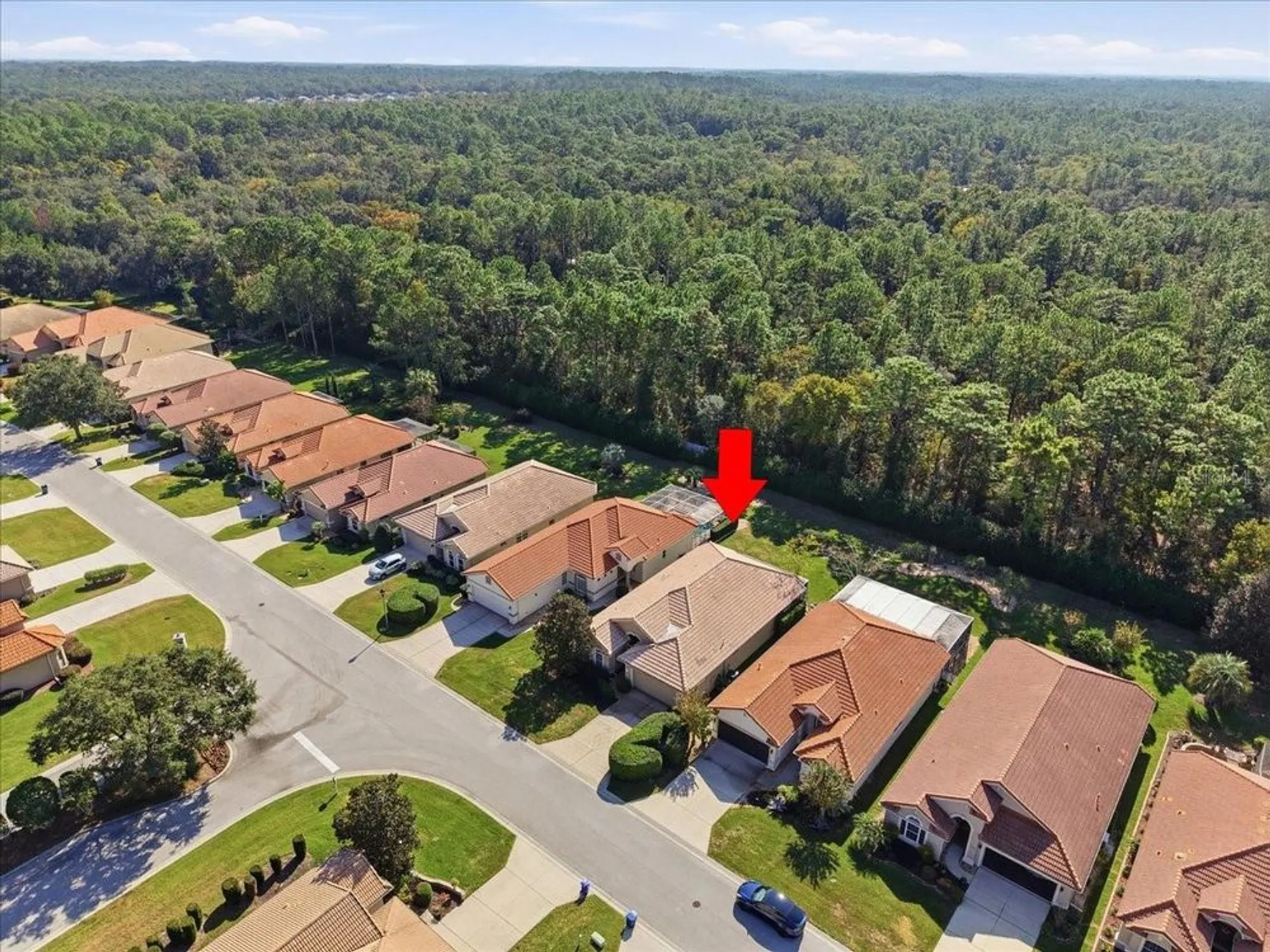 Property Slideshow image 44 of 55 | 1650 w laurel glen path, Hernando, FL, 34442