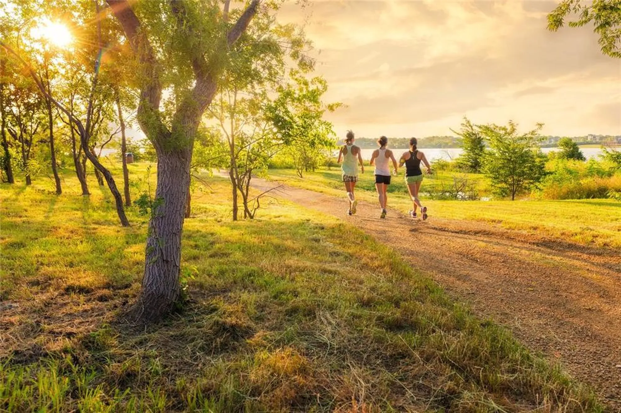 Property Slideshow image 36 of 40 | 2705 cumberland, The Colony, TX, 75056