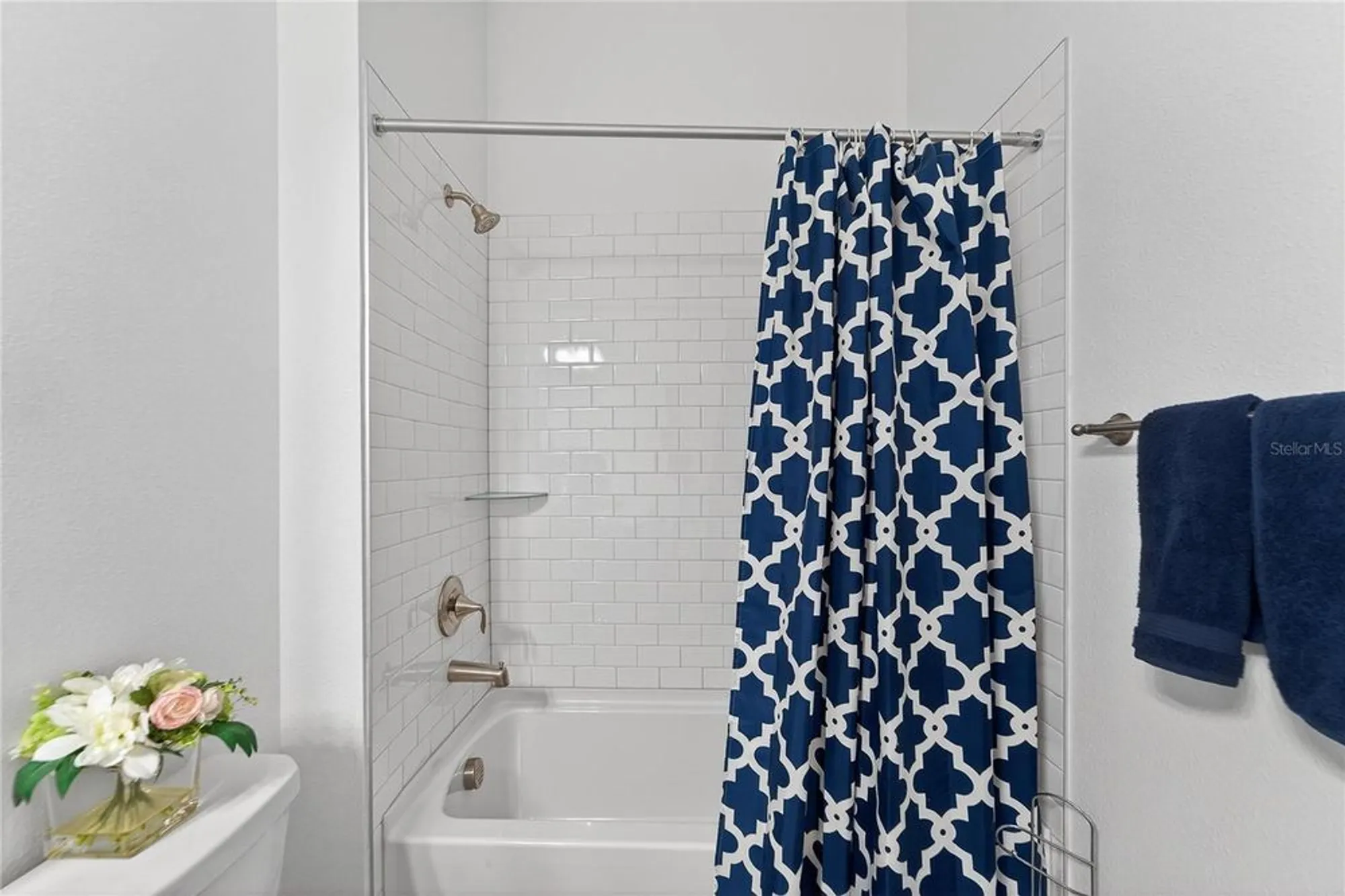 Property Slideshow image 46 of 98 | 17216 scuba crest st, Wimauma, FL, 33598