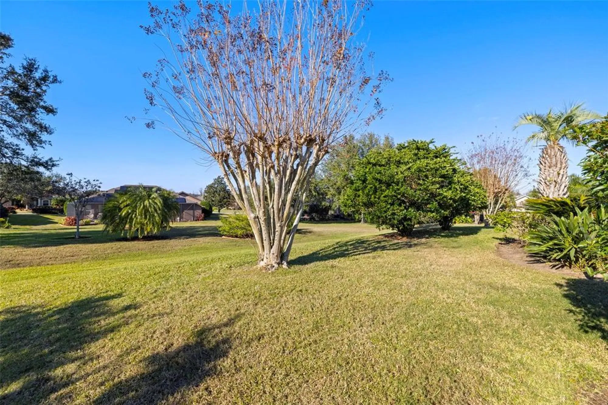 Property Slideshow image 46 of 68 | 13235 legends trl, Dade City, FL, 33525