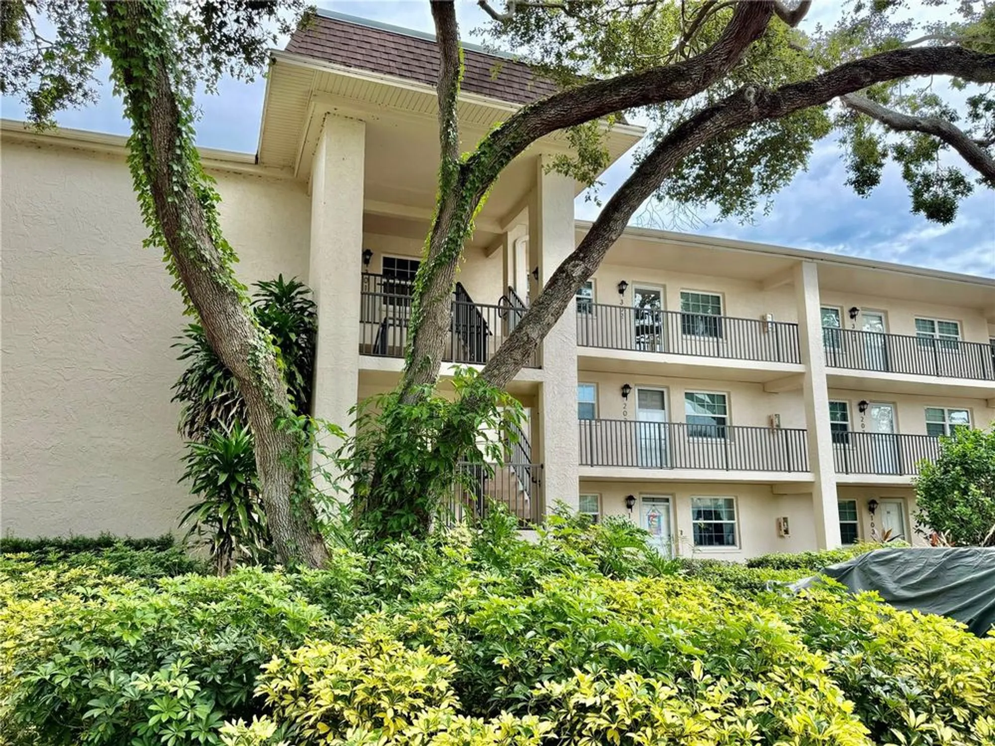 Property Slideshow image 2 of 34 | 870 virginia st apt 302, Dunedin, FL, 34698