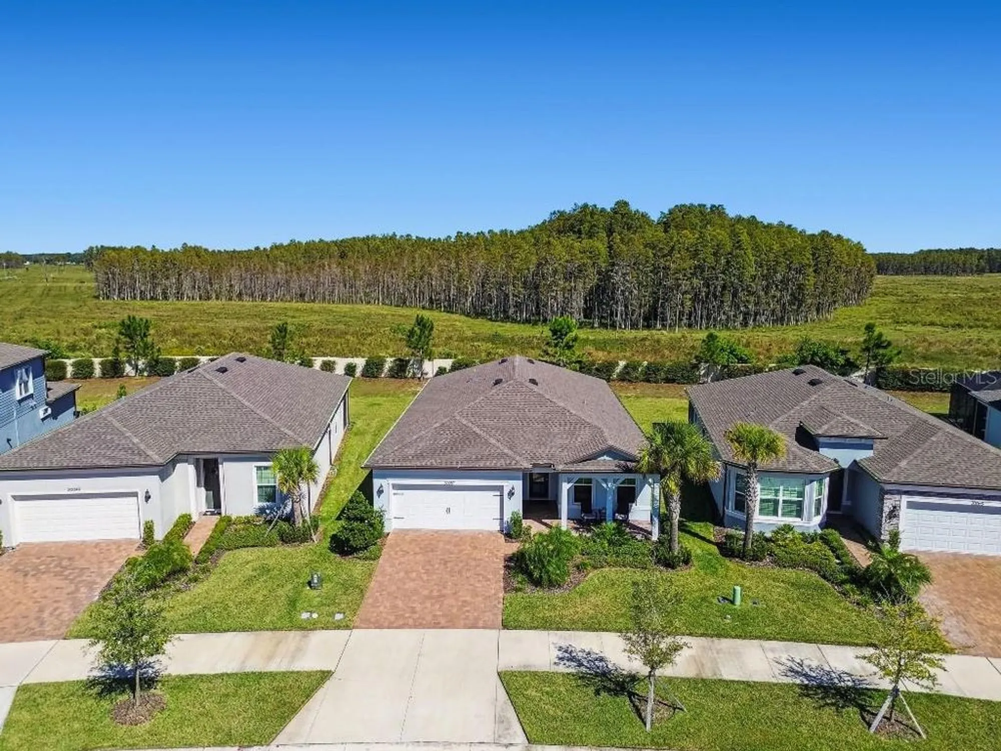 Property Slideshow image 41 of 49 | 20057 sea glass cir, Land O Lakes, FL, 34638