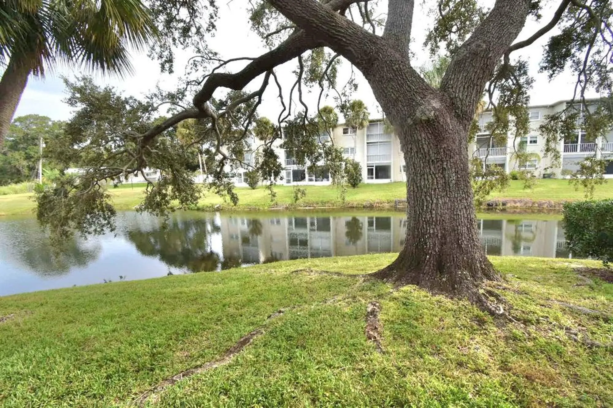 Property Slideshow image 9 of 50 | 940 virginia st 108, Dunedin, FL, 34698