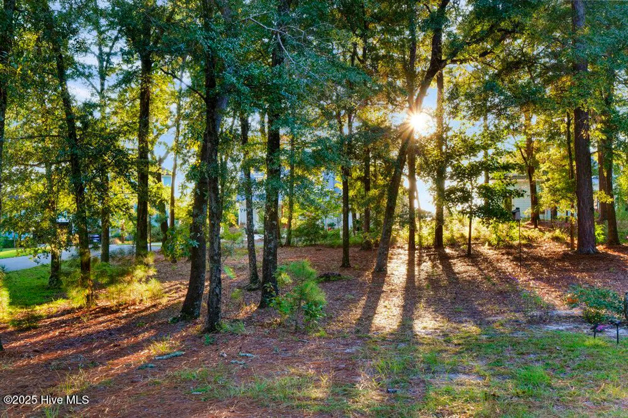 Property Slideshow image 83 of 128 | 3623 white cliffs dr, Castle Hayne, NC, 28429