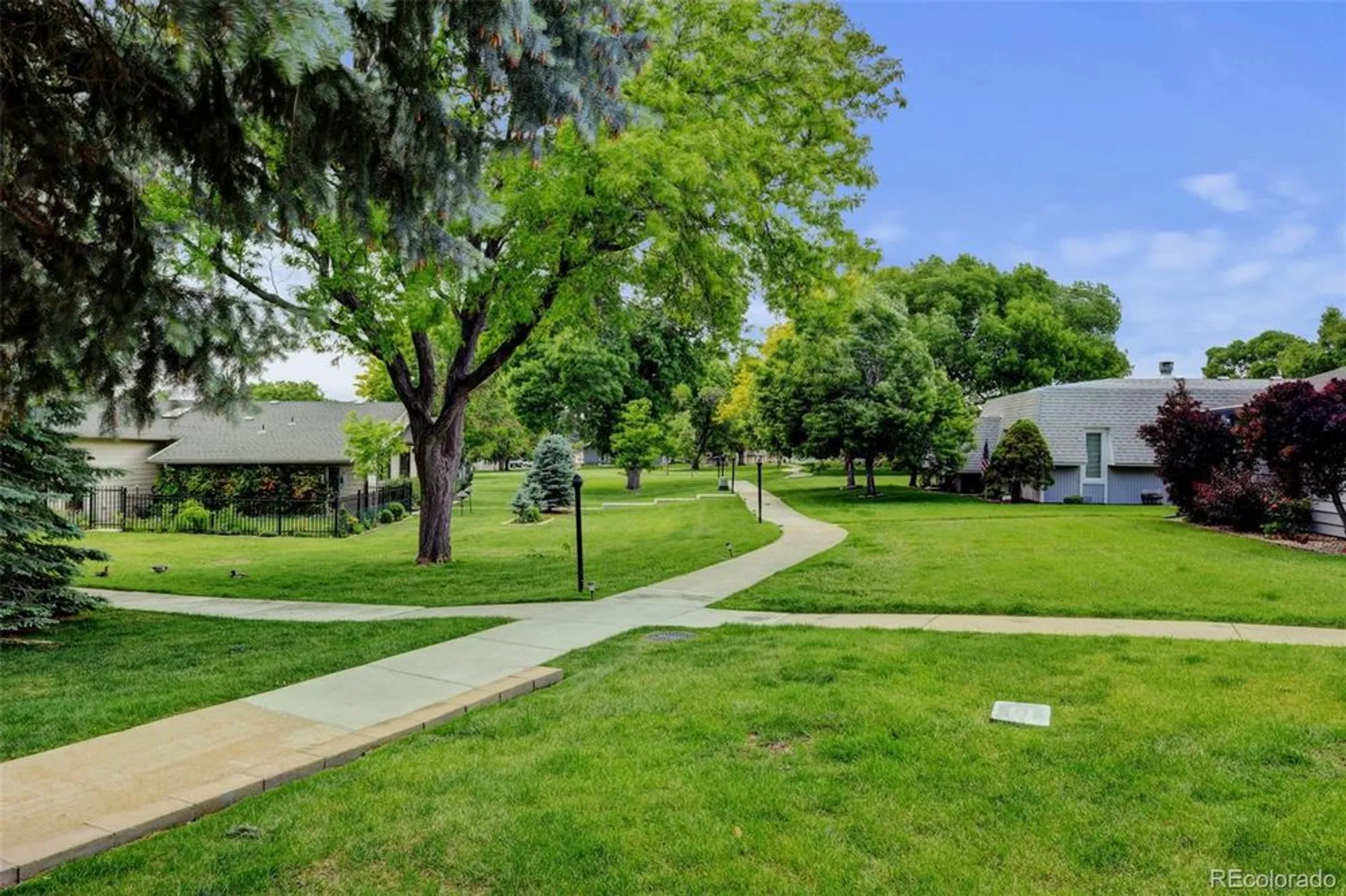 Property Slideshow image 39 of 39 | 20 scott dr, Broomfield, CO, 80020