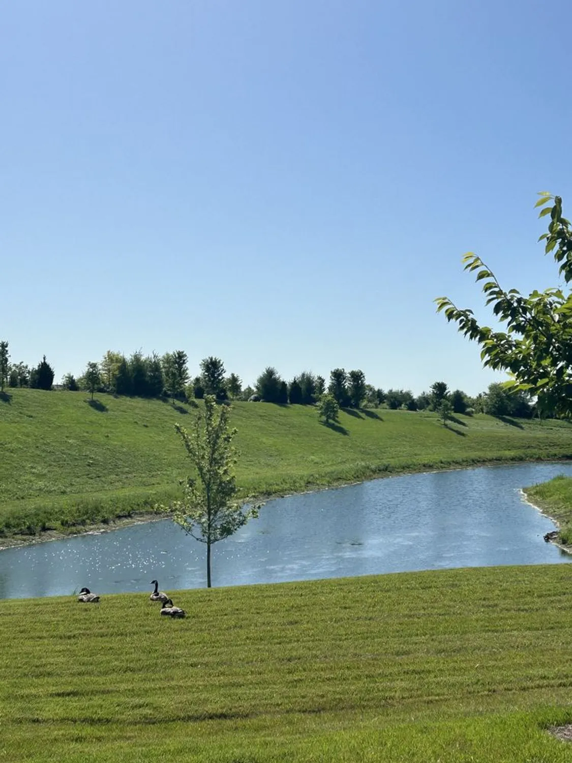 Property Slideshow image 4 of 61 | 1331 madison ln, Spring Hill, TN, 37174