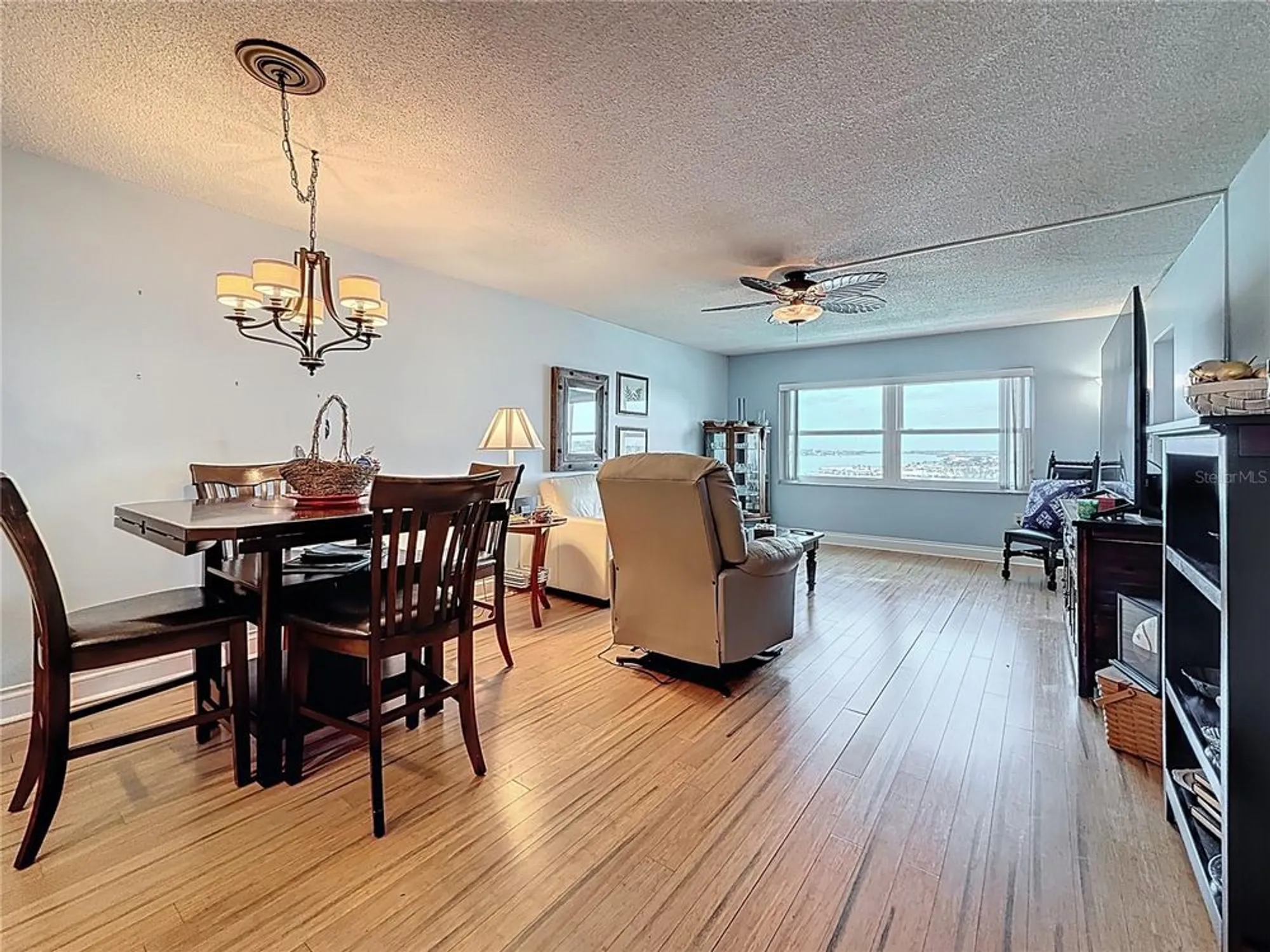 Property Slideshow image 19 of 61 | 4725 cove cir apt 908, St Petersburg, FL, 33708