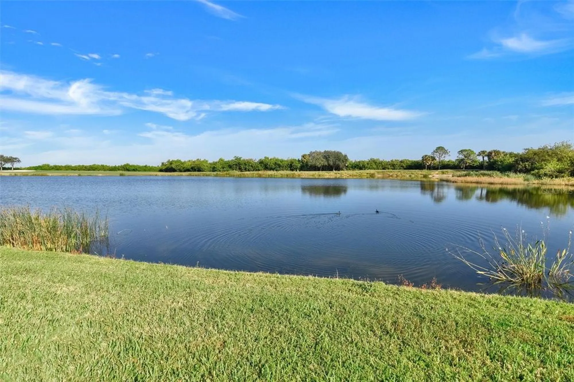 Property Slideshow image 32 of 58 | 7305 river hammock dr 204, Bradenton, FL, 34212