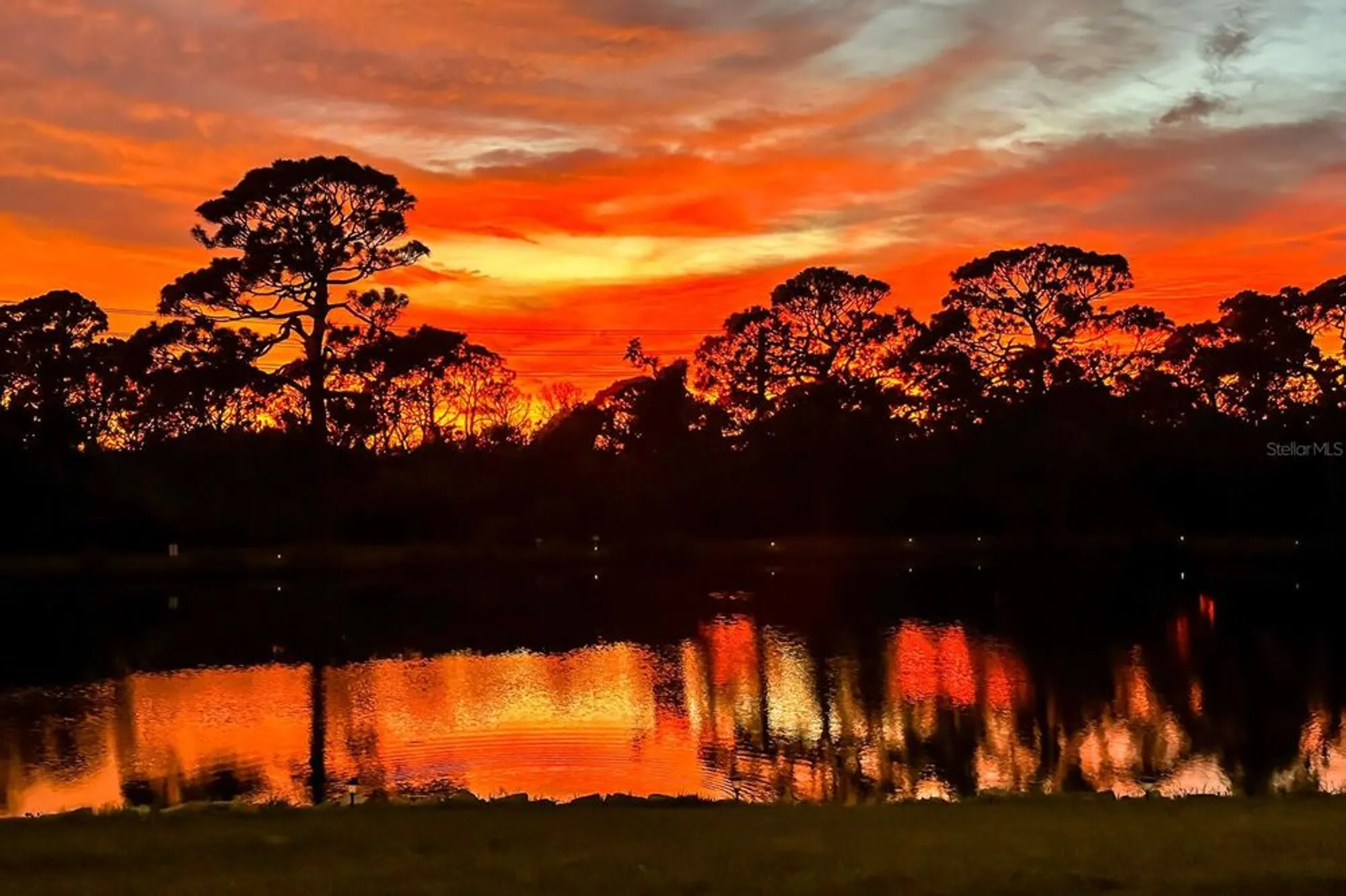 Property Slideshow image 76 of 77 | 8186 terrace garden dr n unit 101, St Petersburg, FL, 33709