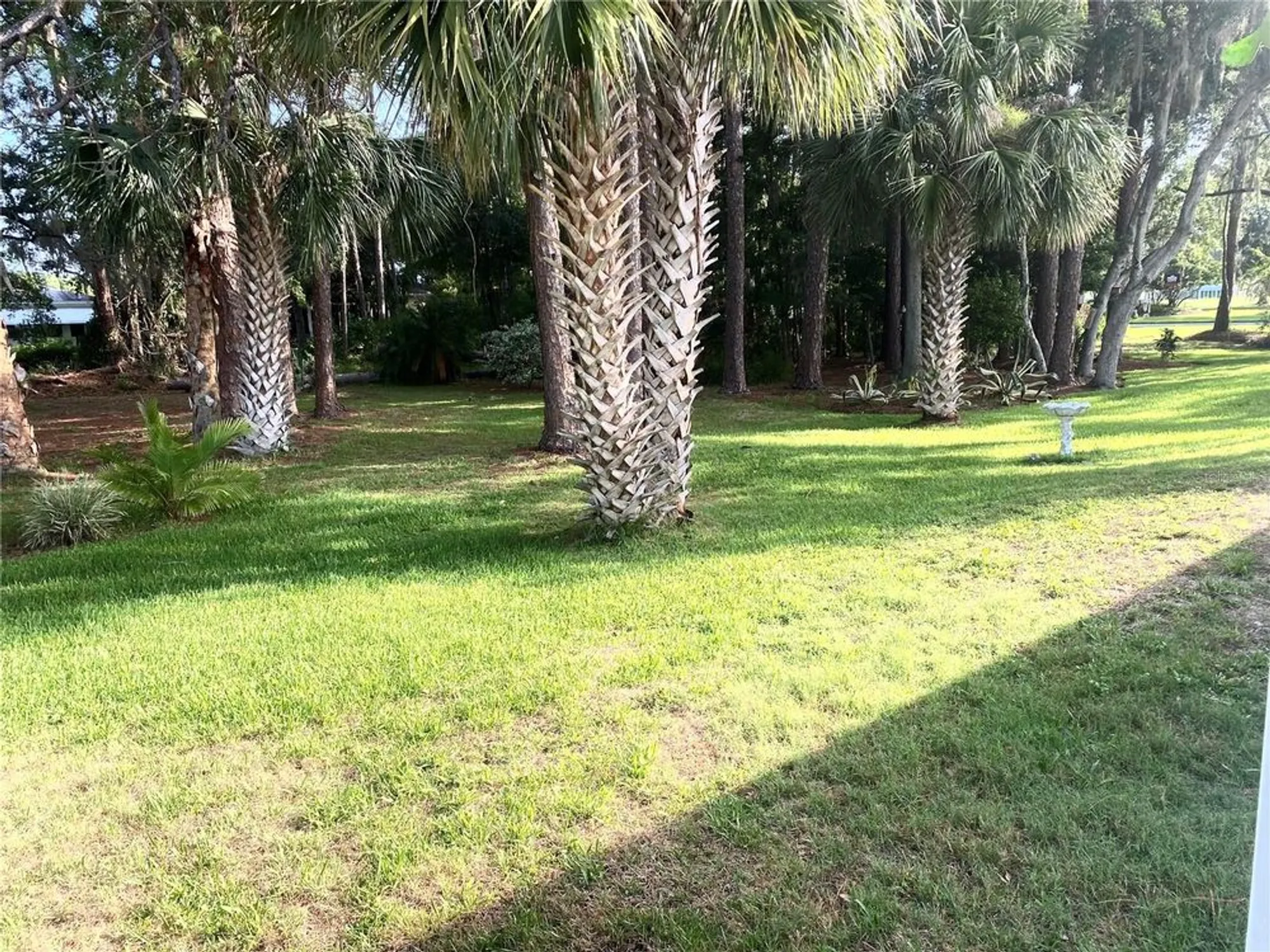 Property Slideshow image 33 of 38 | 409 westwood dr, Leesburg, FL, 34748