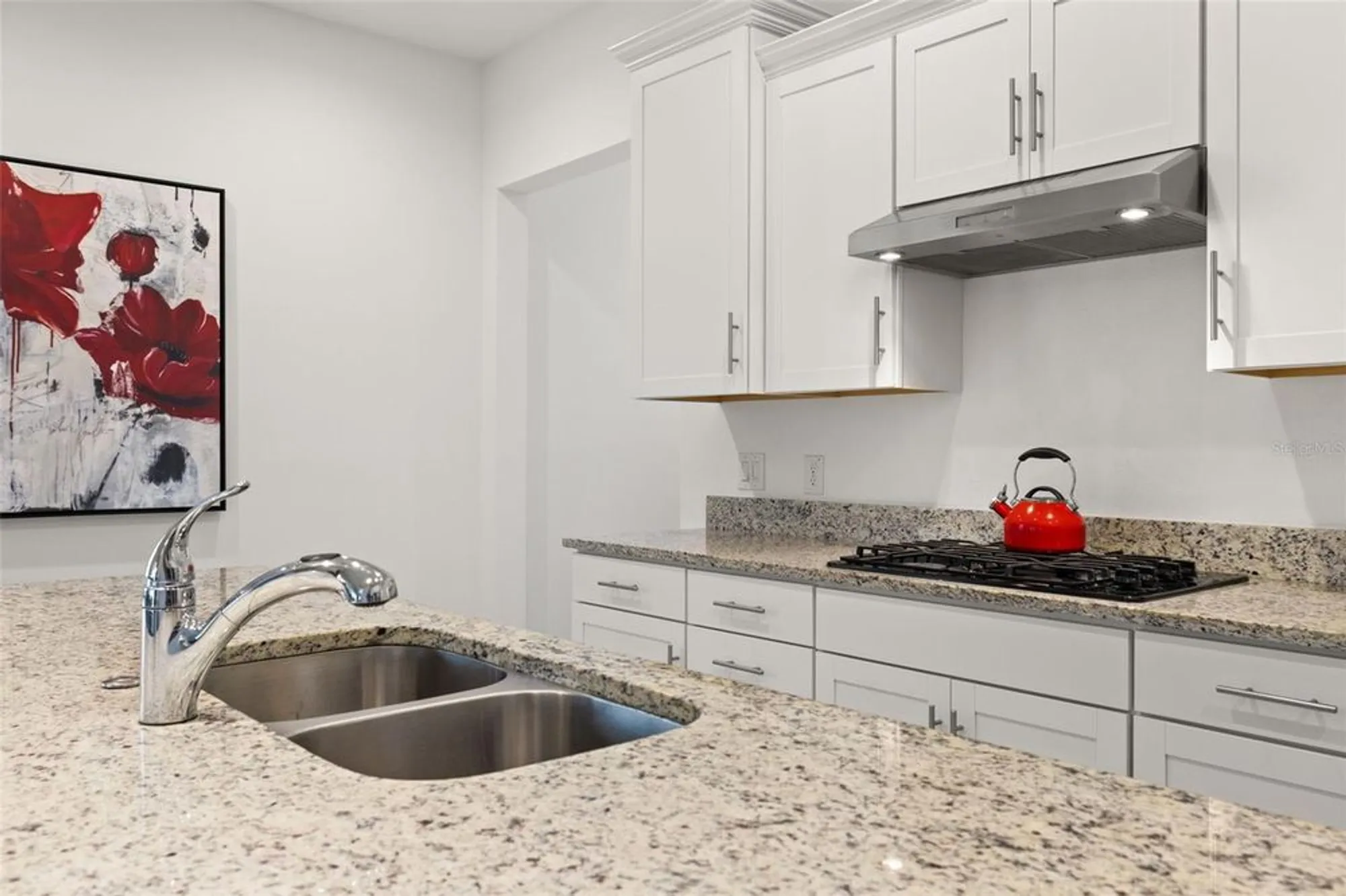 Property Slideshow image 10 of 85 | 1890 flora pass pl, Kissimmee, FL, 34747