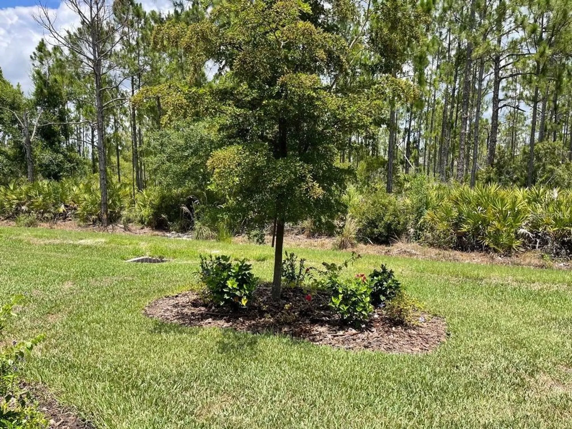 Property Slideshow image 68 of 88 | 1352 raspberry dr, North Port, FL, 34289