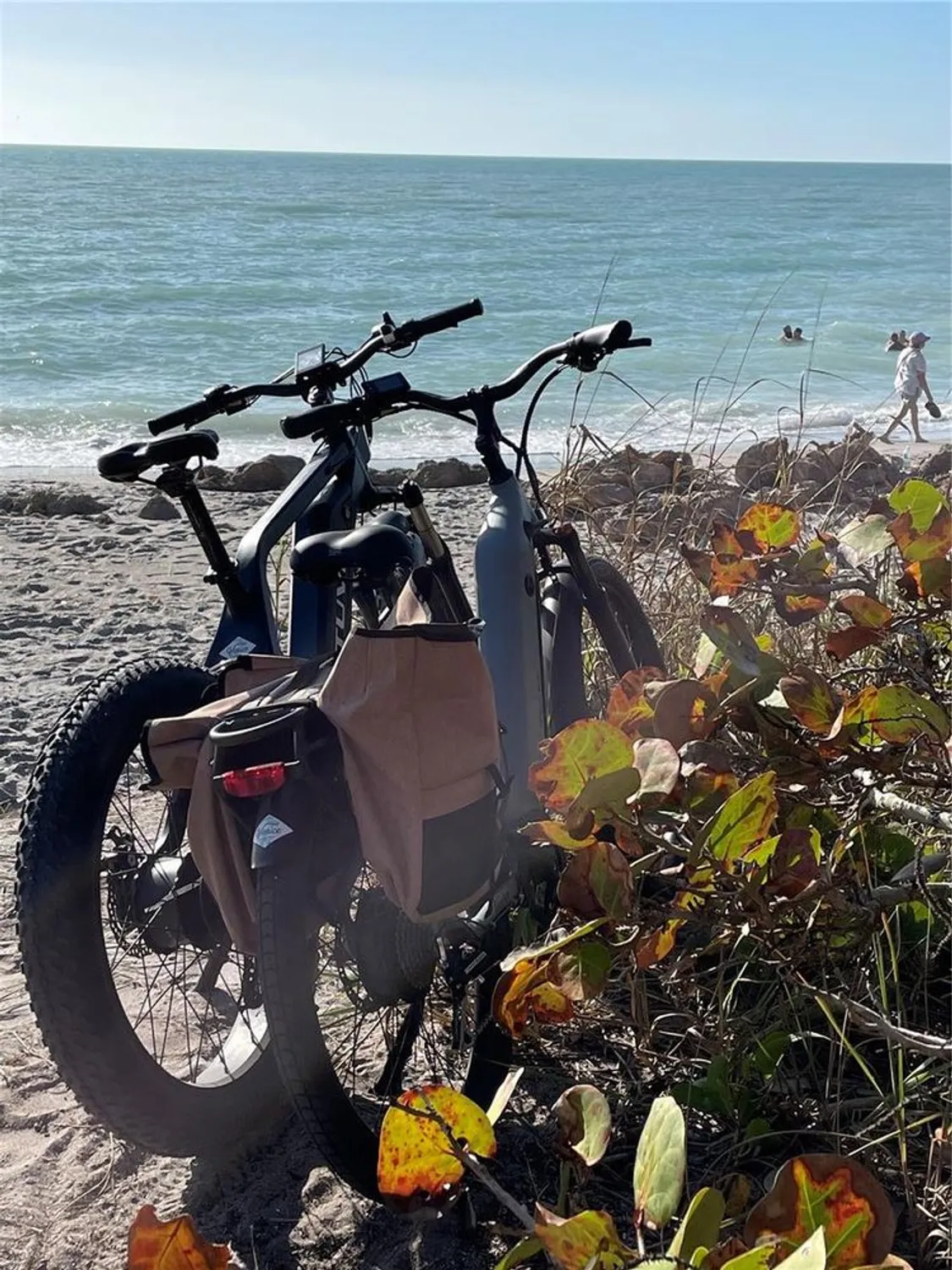 Property Slideshow image 56 of 76 | 425 cerromar ter 359, Venice, FL, 34293