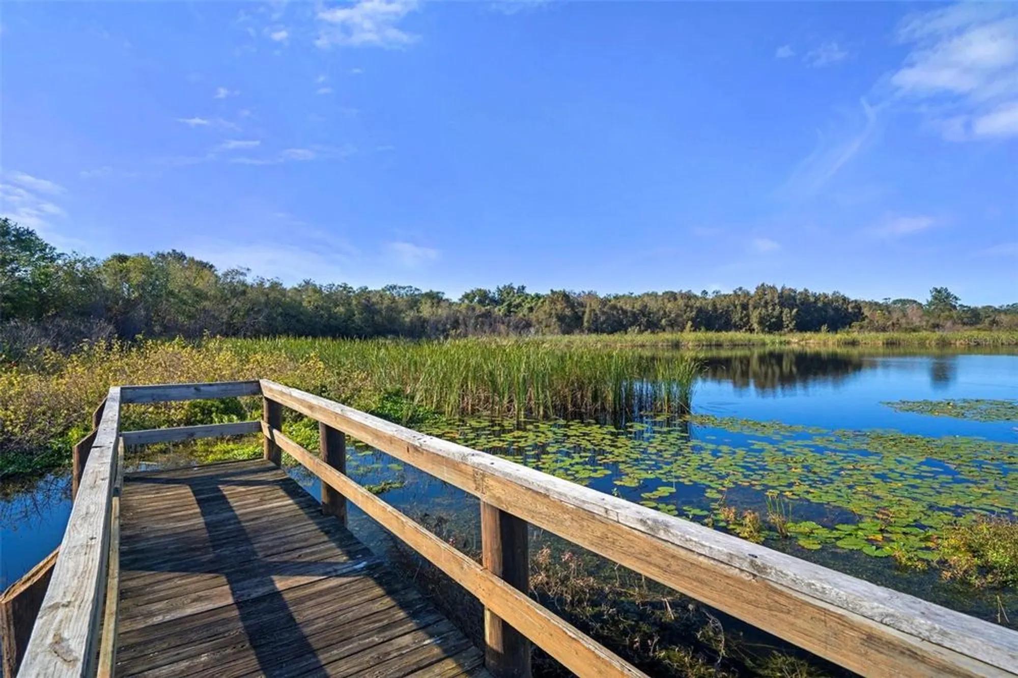 Property Slideshow image 56 of 61 | 2440 world parkway blvd 38, Clearwater, FL, 33763