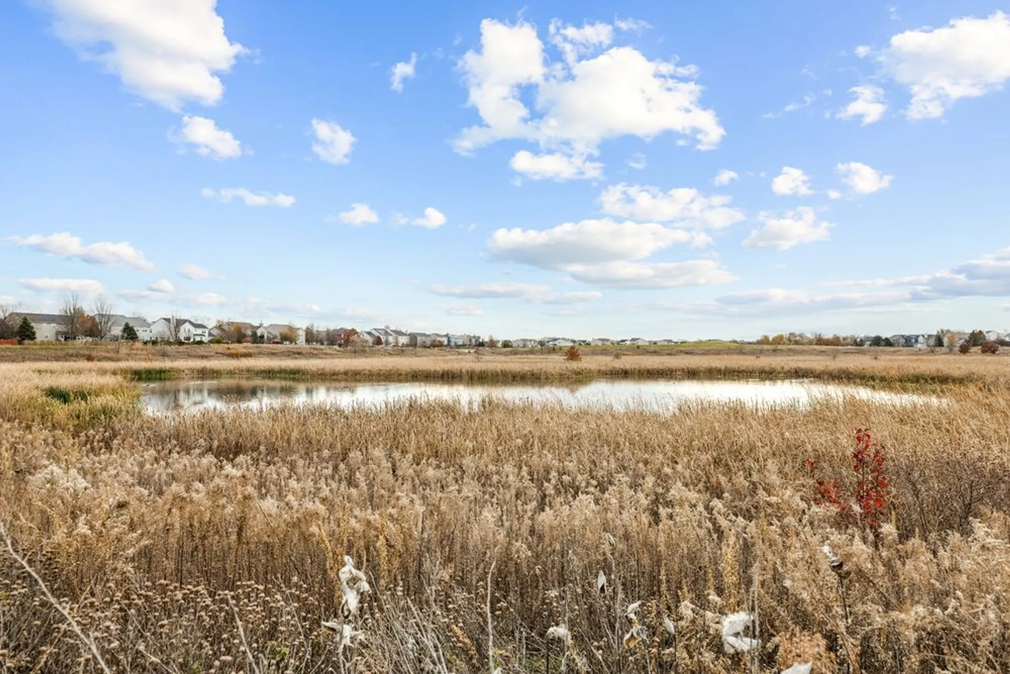 Property Slideshow image 33 of 33 | 786 bohannon cir, Oswego, IL, 60543