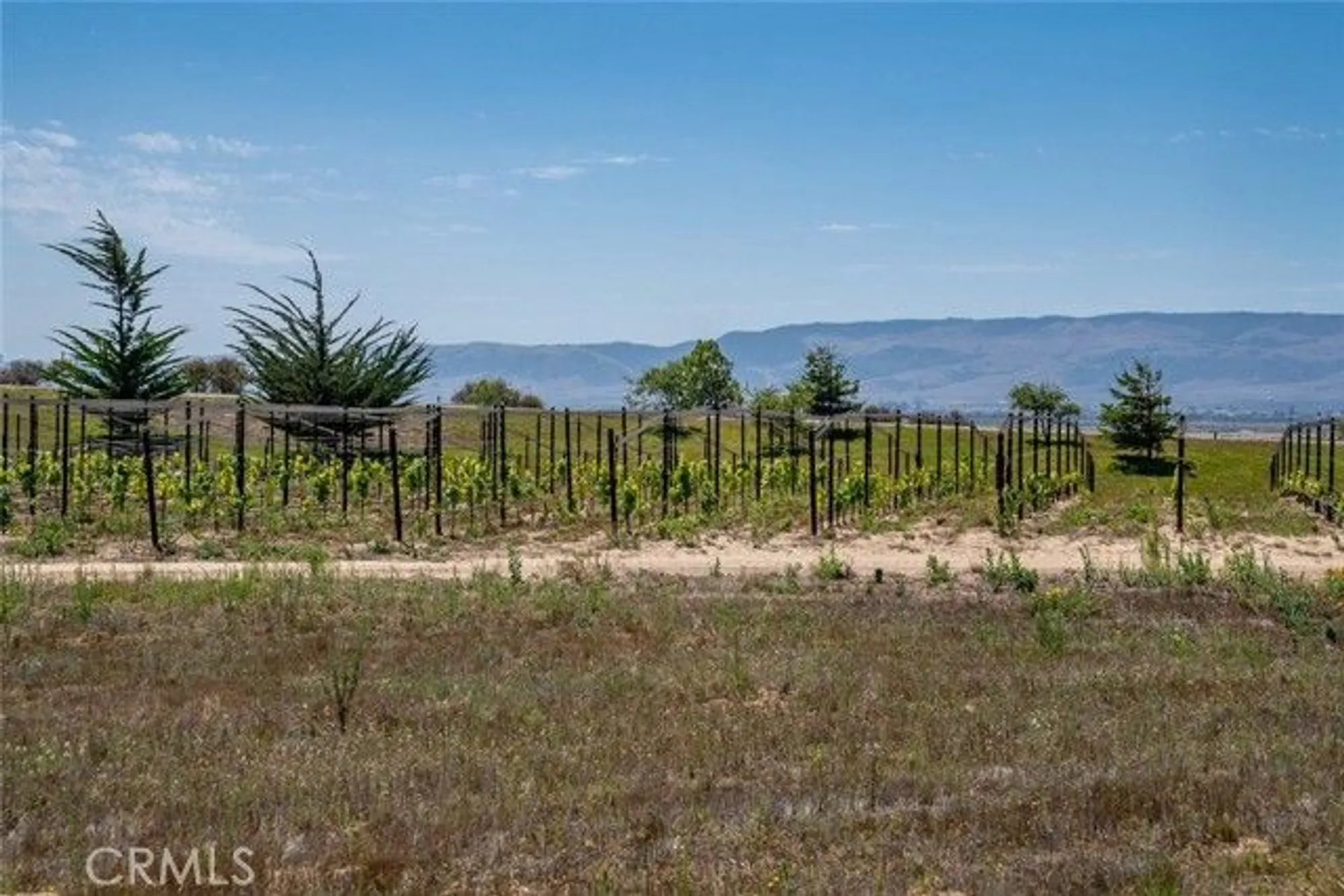 Property Slideshow image 57 of 75 | 1245 justin ln, Nipomo, CA, 93444