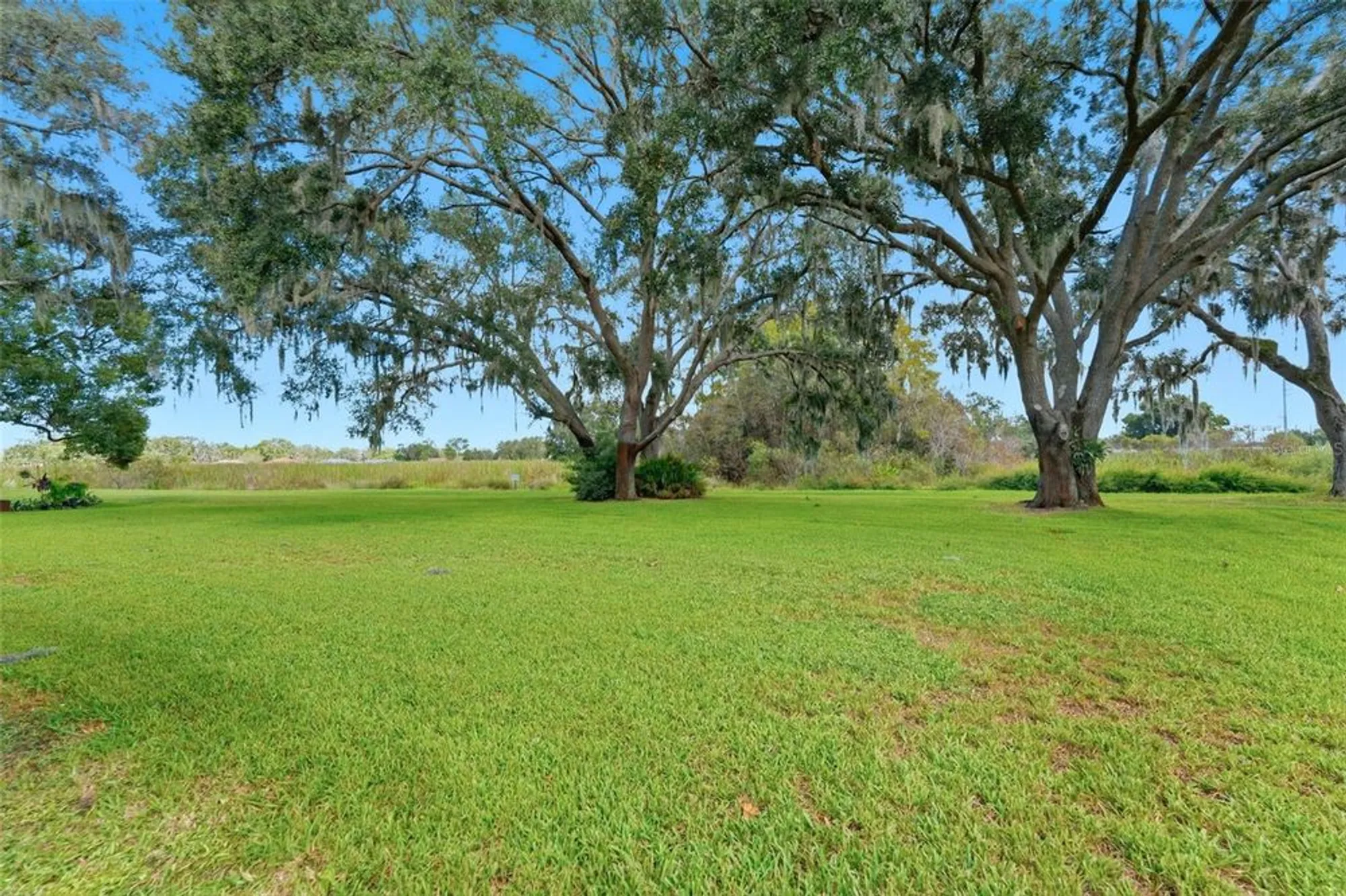 Property Slideshow image 21 of 25 | 8723 benton dr, Port Richey, FL, 34668