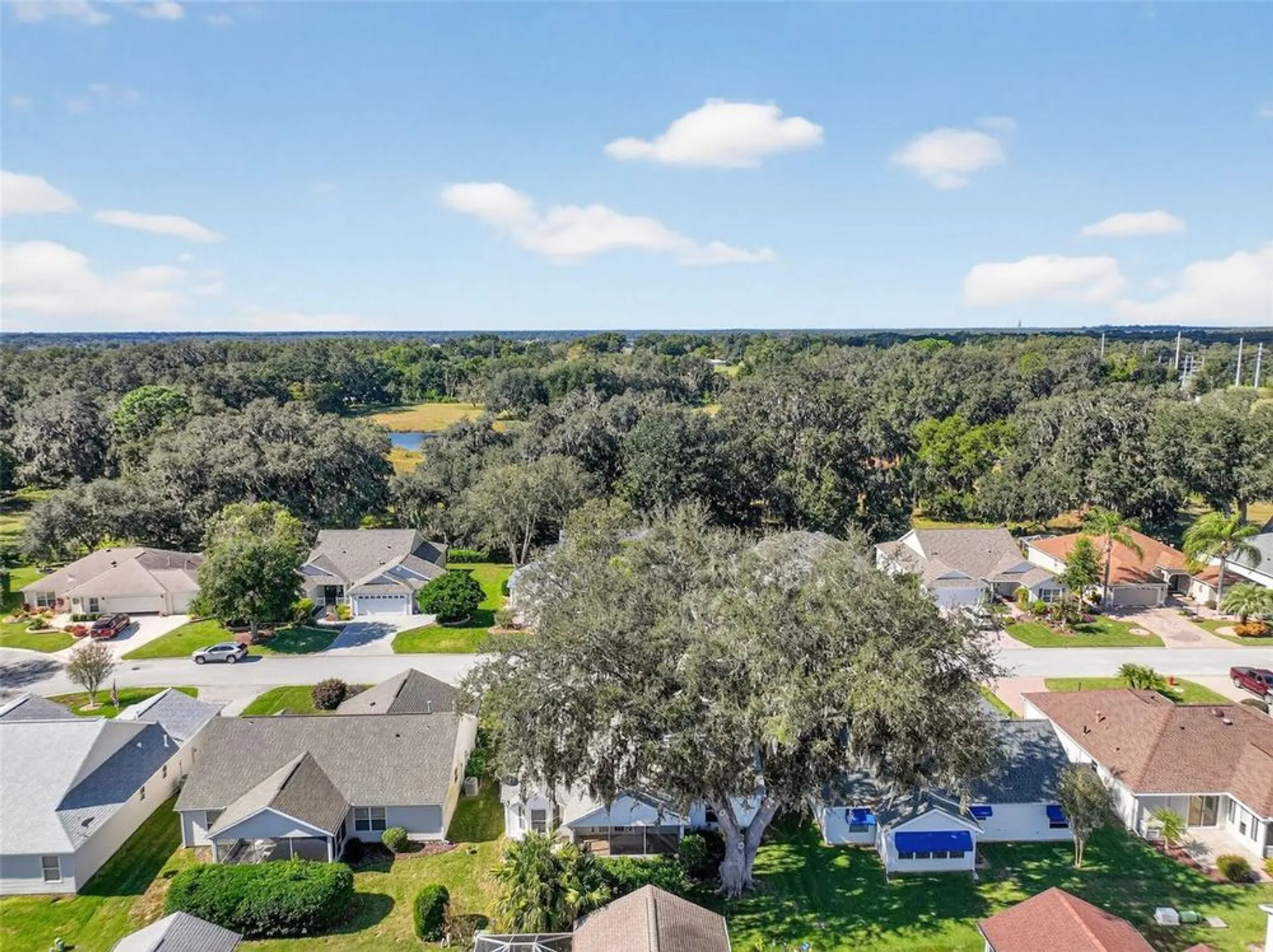 Property Slideshow image 35 of 38 | 7168 se 173rd arlington loop, The Villages, FL, 32162