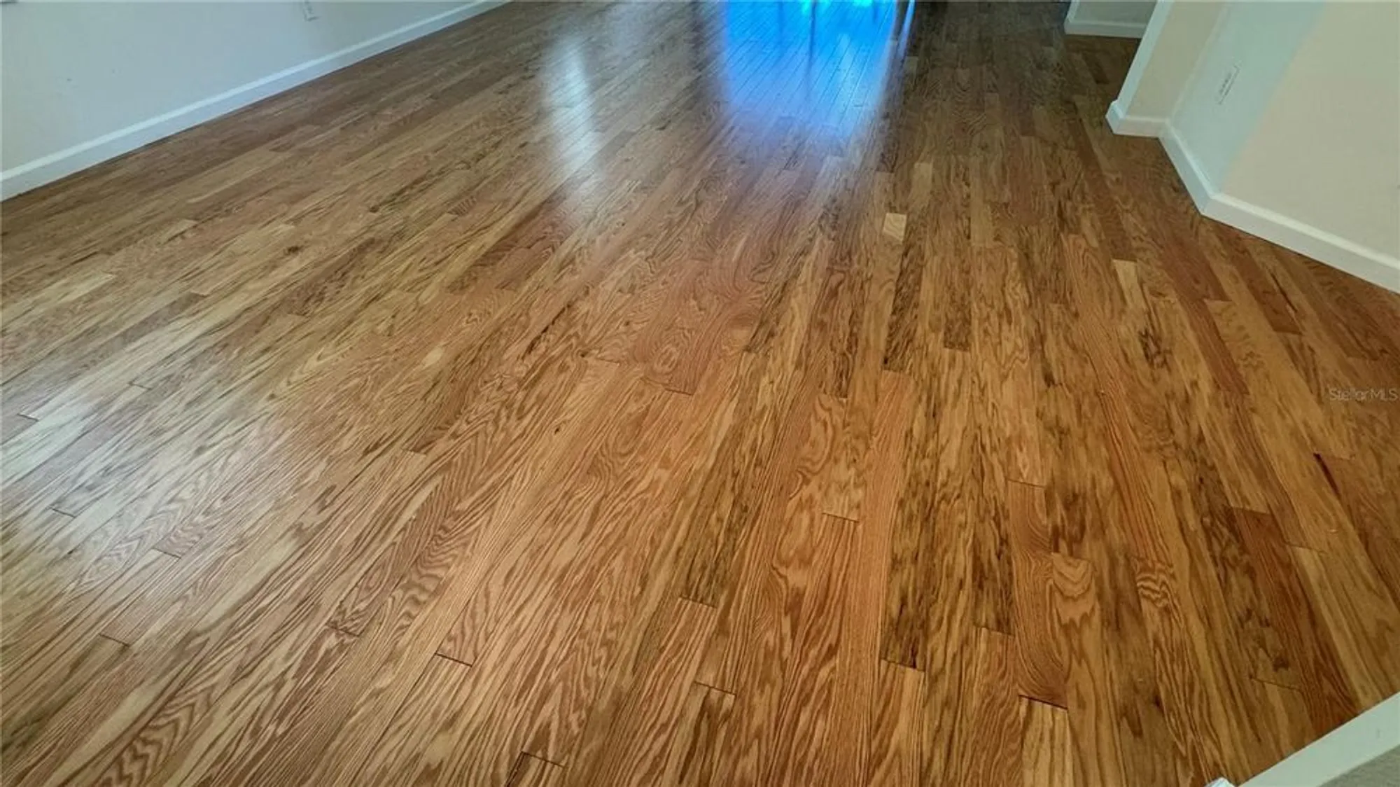 Property Slideshow image 8 of 24 | 8228 simpson falls ct, Sarasota, FL, 34243