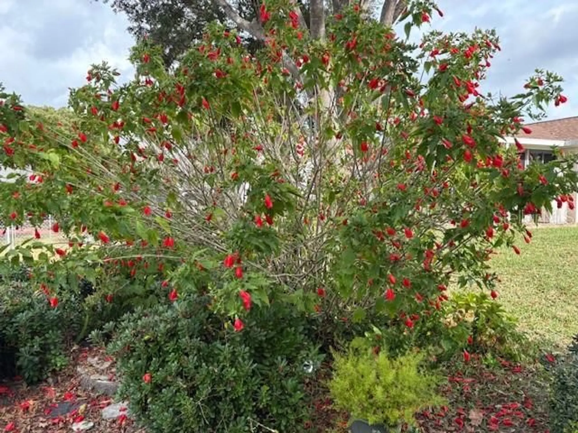 Property Slideshow image 52 of 52 | 17747 se 97th ave, Summerfield, FL, 34491