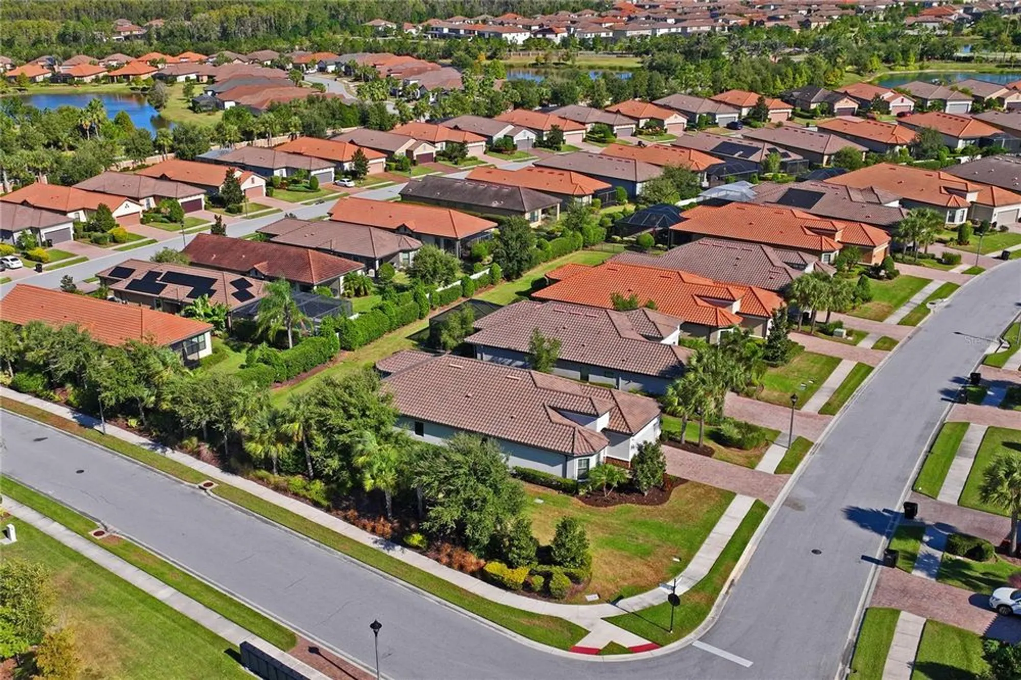 Property Slideshow image 50 of 78 | 11465 bitola dr, Odessa, FL, 33556