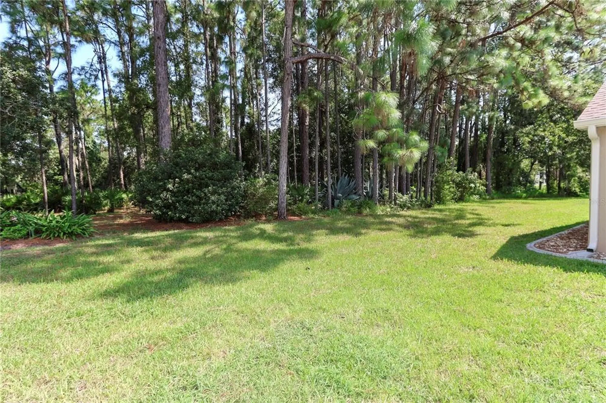 Property Slideshow image 8 of 54 | 11653 sw 72nd cir, Ocala, FL, 34476