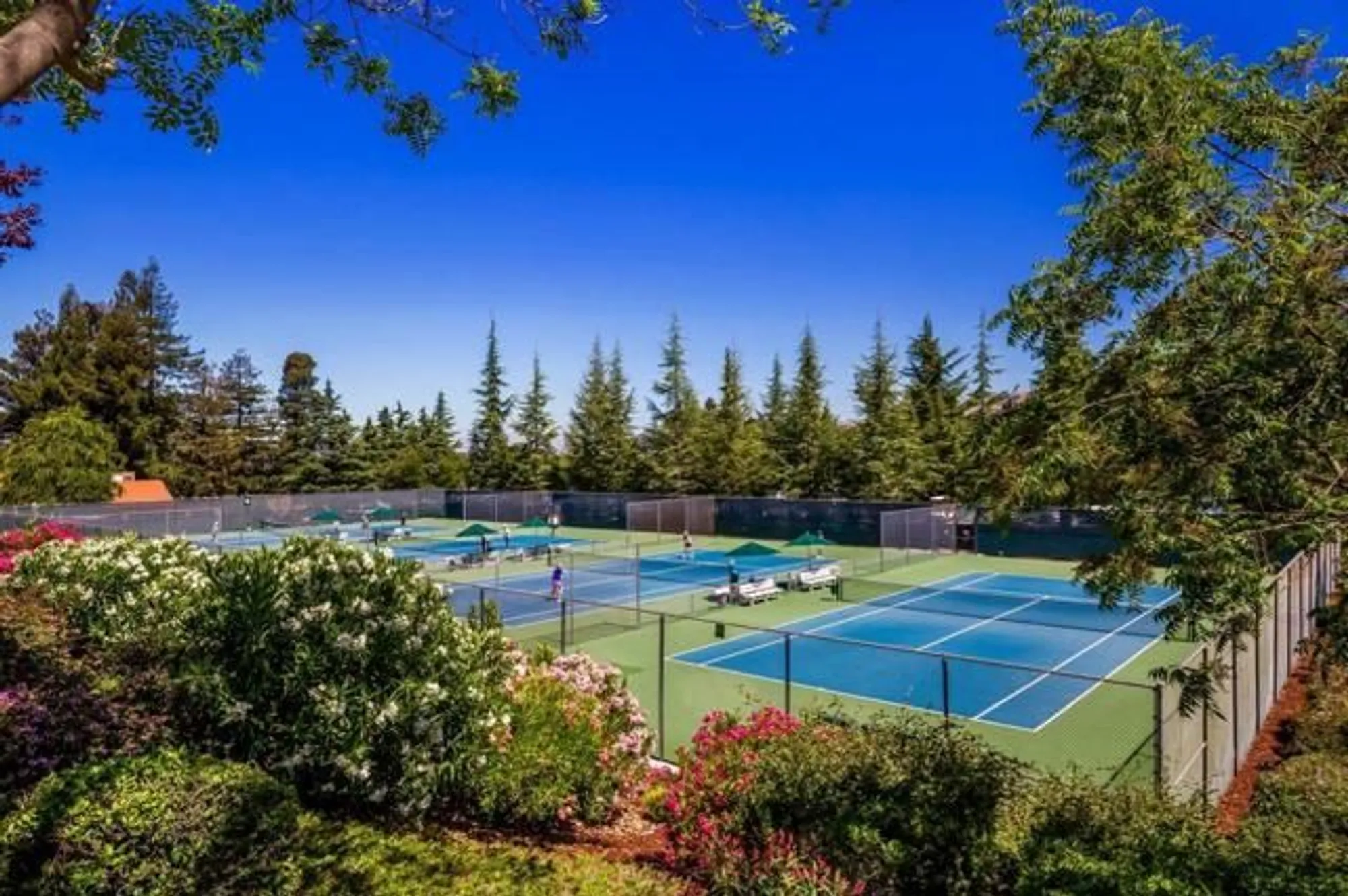 Property Slideshow image 28 of 35 | 6361 whaley dr, San Jose, CA, 95135