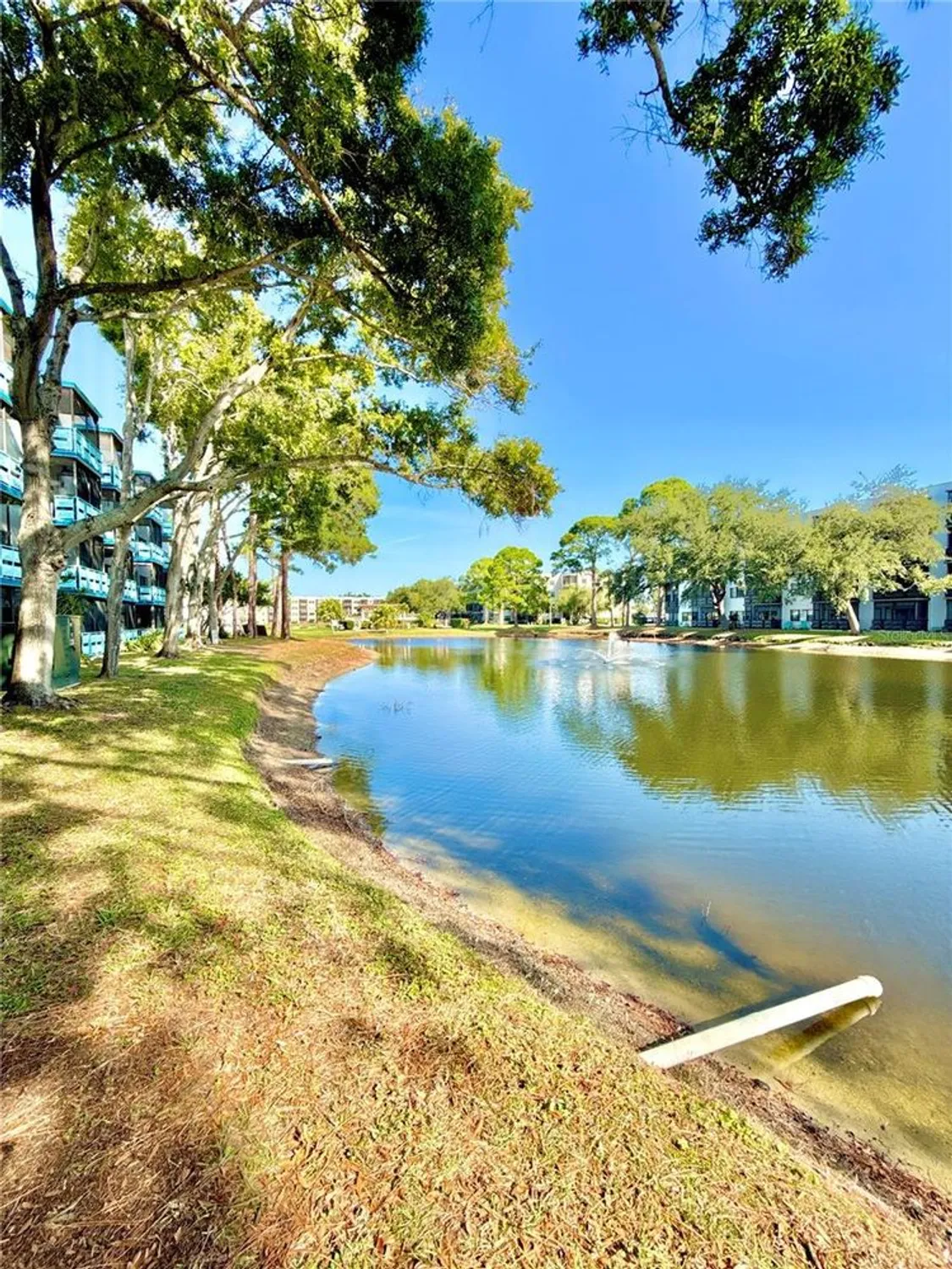 Property Slideshow image 33 of 46 | 5970 80th st n unit 411, St Petersburg, FL, 33709