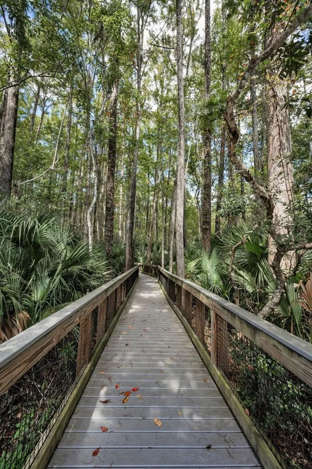 Property Slideshow image 66 of 70 | 921 anchorage ln, Palm Harbor, FL, 34685