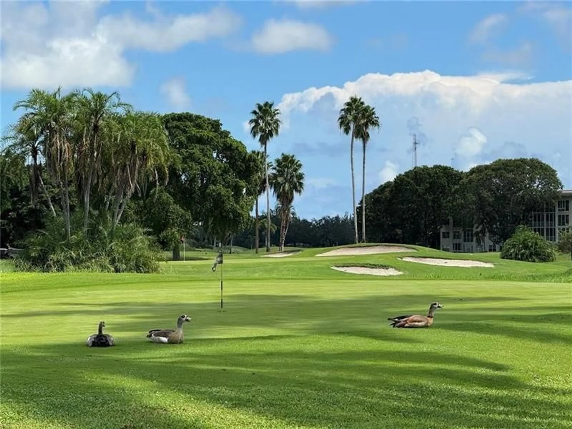 Property Slideshow image 41 of 56 | 2601 nassau bnd e1, Coconut Creek, FL, 33066