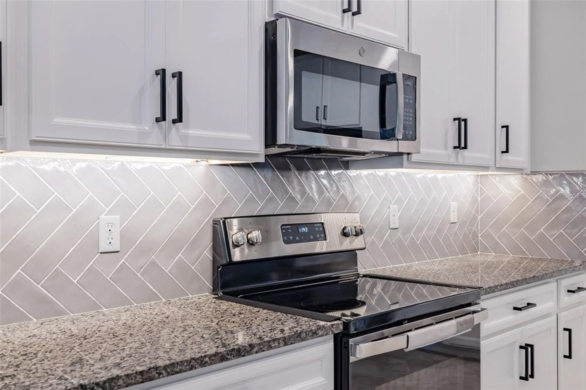 Property Slideshow image 9 of 56 | 31565 cannon rush dr, San Antonio, FL, 33576