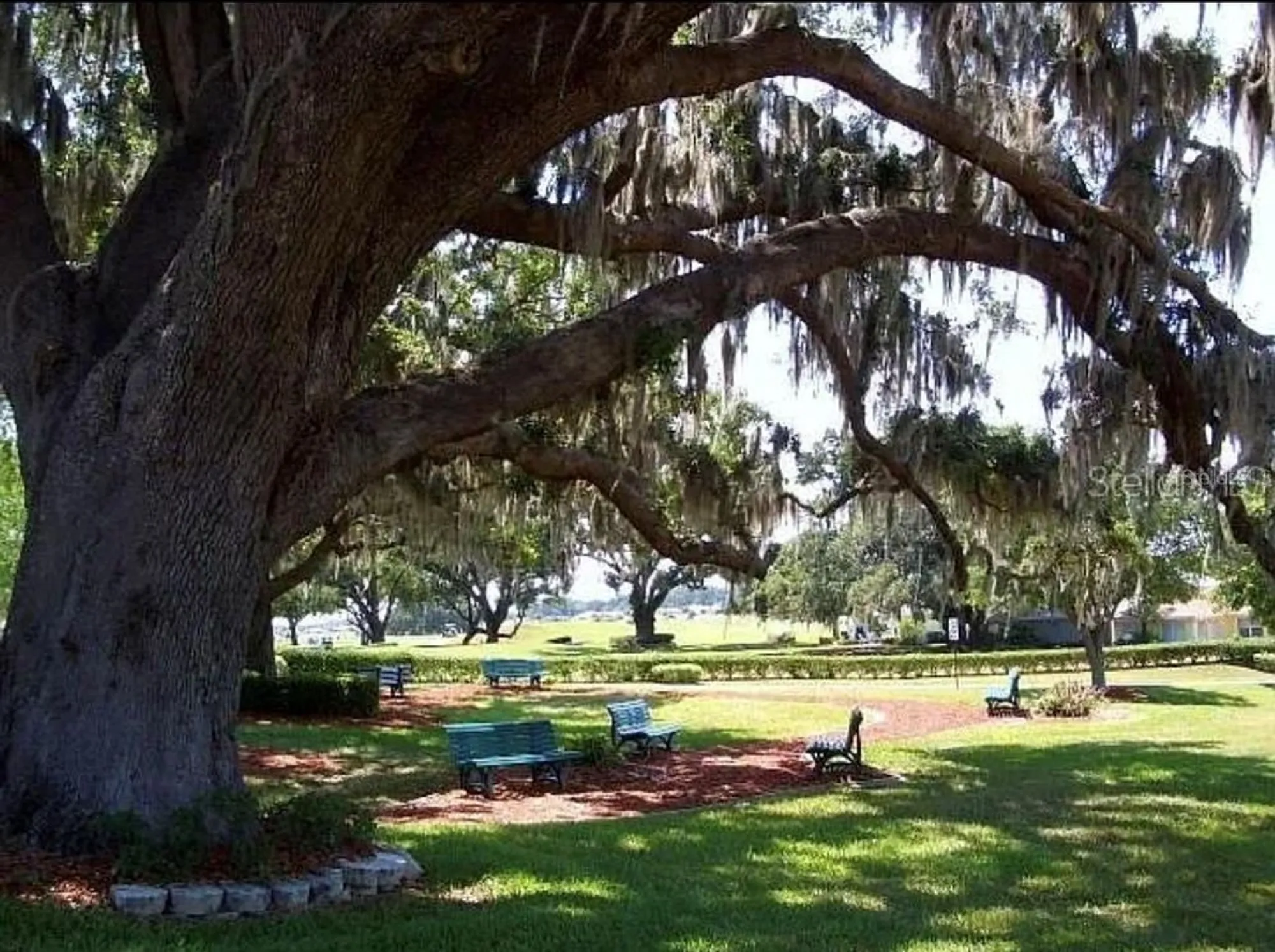 Property Slideshow image 21 of 22 | 12095 se 178th st, Summerfield, FL, 34491