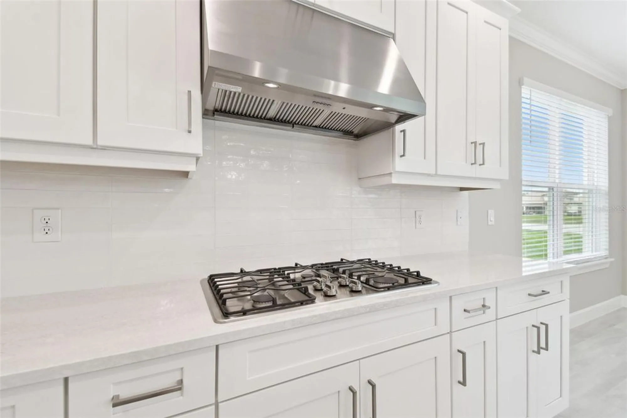 Property Slideshow image 9 of 100 | 4709 isonzo way, Wesley Chapel, FL, 33543