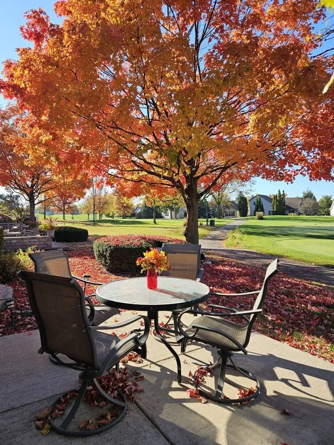 Property Slideshow image 42 of 52 | 21144 buckeye ct, Plainfield, IL, 60544