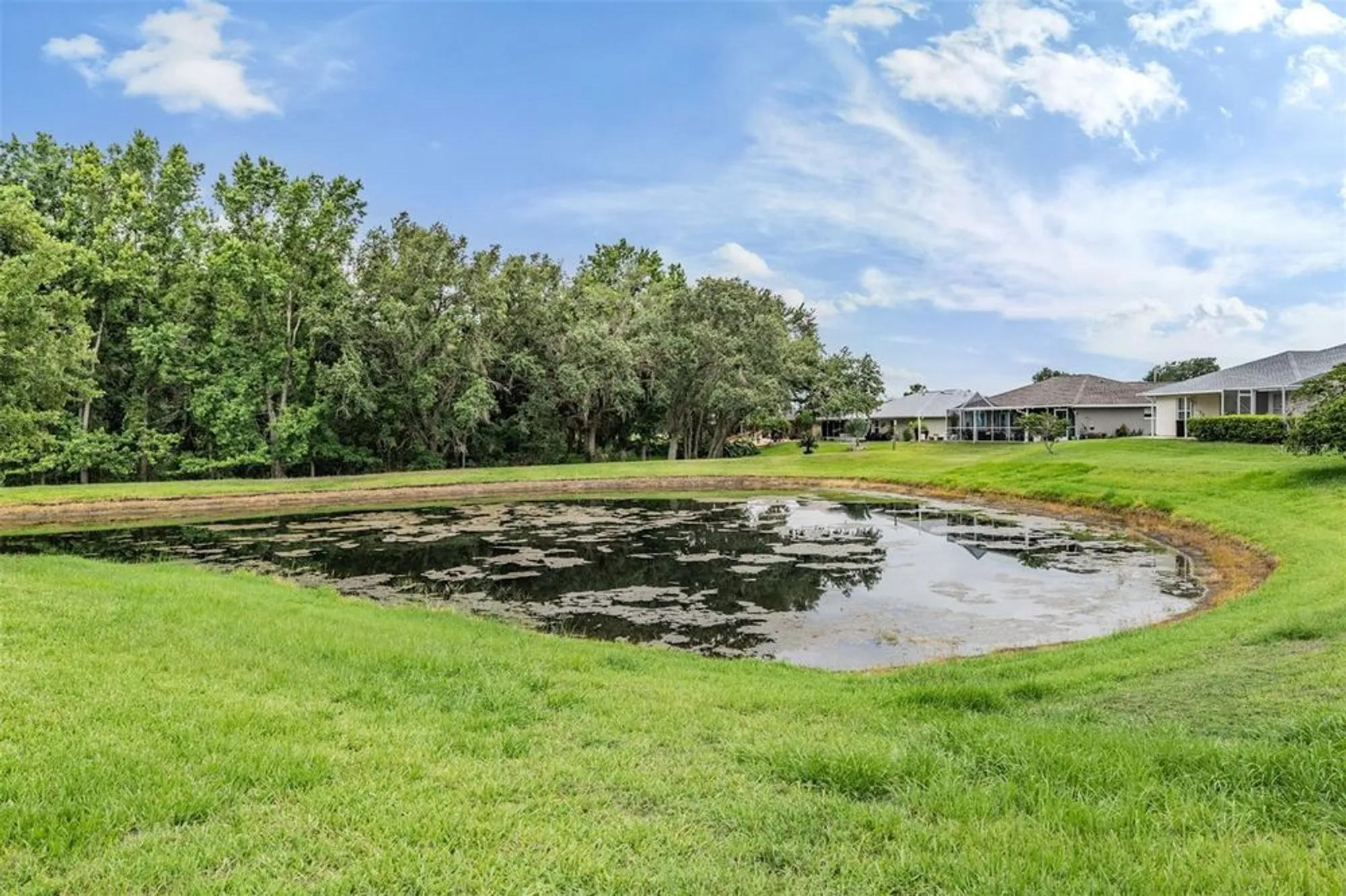 Property Slideshow image 11 of 85 | 29312 marker loop, San Antonio, FL, 33576