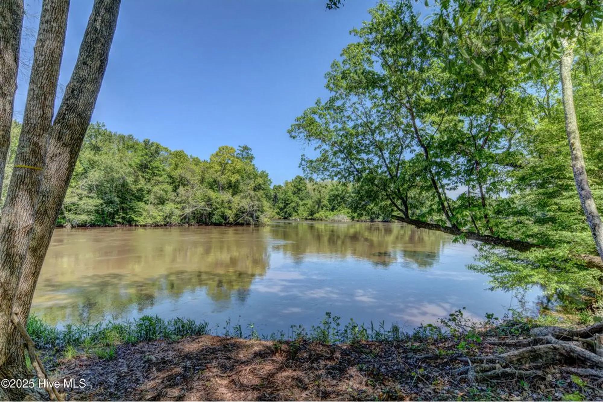 Property Slideshow image 62 of 77 | 9362 fallen pear ln, Leland, NC, 28451