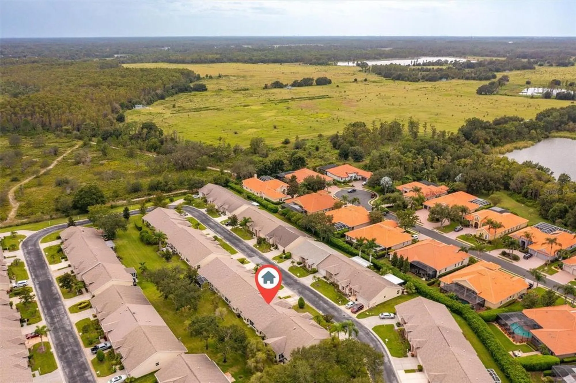 Property Slideshow image 68 of 68 | 1046 almondwood dr, Trinity, FL, 34655