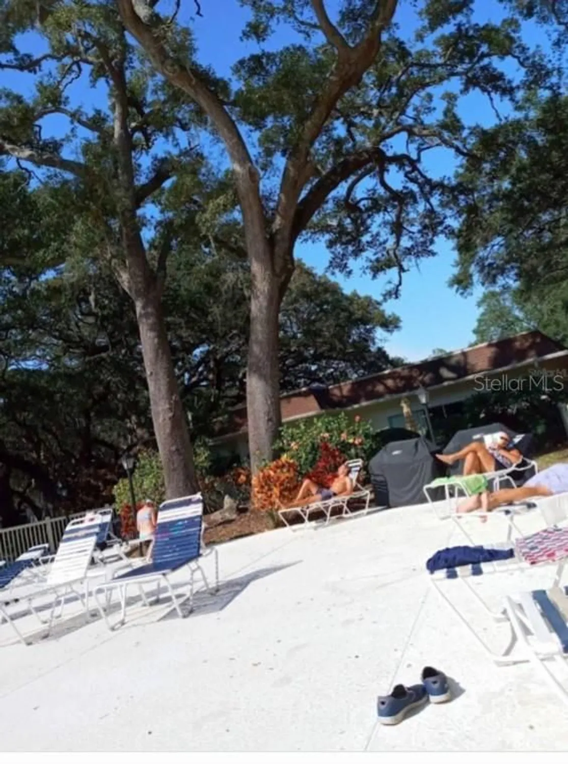 Property Slideshow image 51 of 52 | 840 virginia st 108, Dunedin, FL, 34698