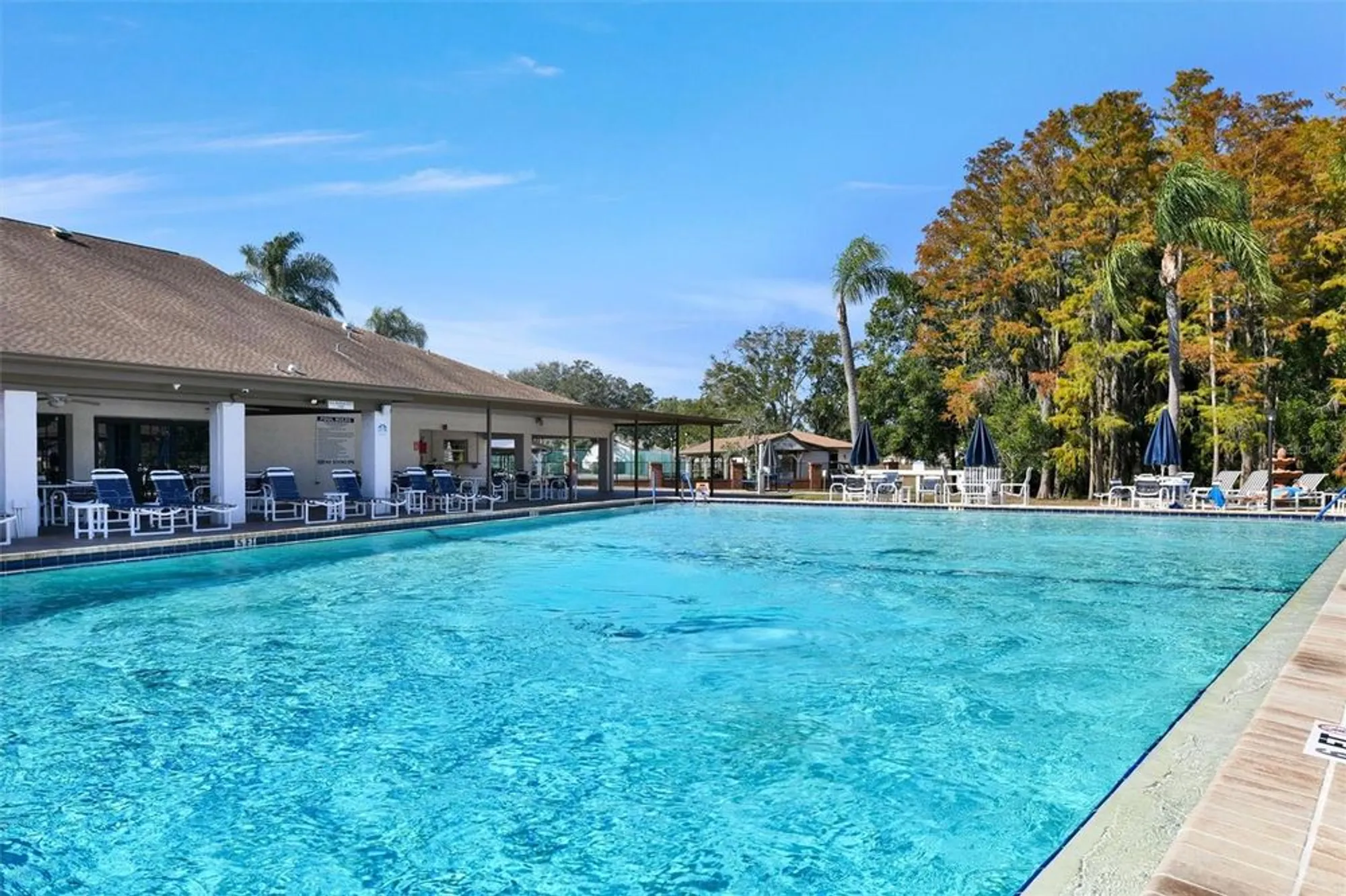 Property Slideshow image 62 of 63 | 4610 sandpointe dr, New Port Richey, FL, 34655