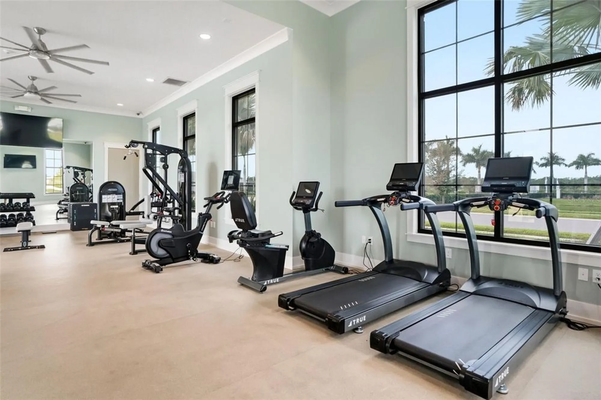 Property Slideshow image 60 of 61 | 17333 savory mist cir, Bradenton, FL, 34211