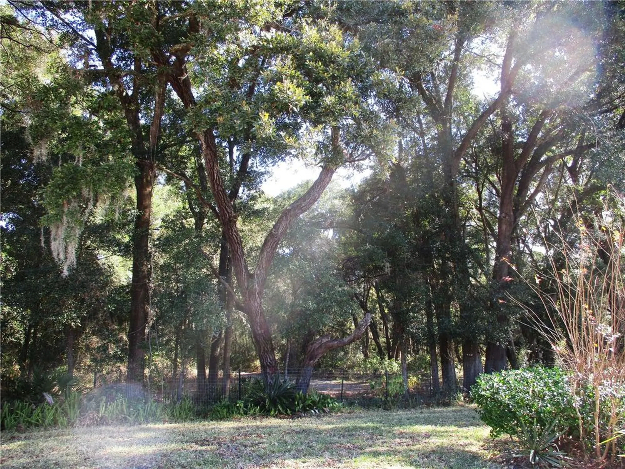 Property Slideshow image 2 of 77 | 14652 sw 112th cir, Dunnellon, FL, 34432