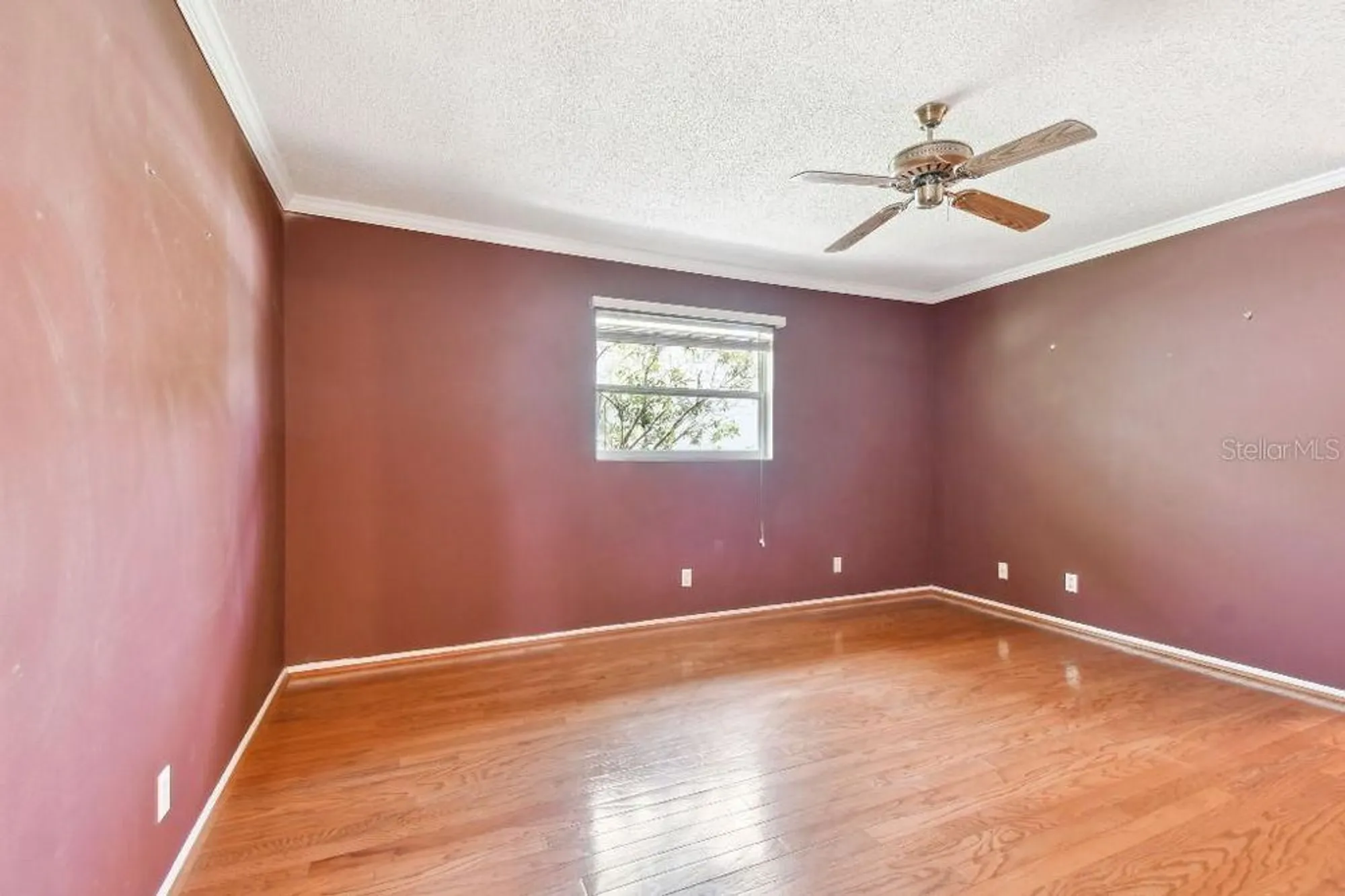 Property Slideshow image 25 of 60 | 916 mainsail way, Palm Harbor, FL, 34685