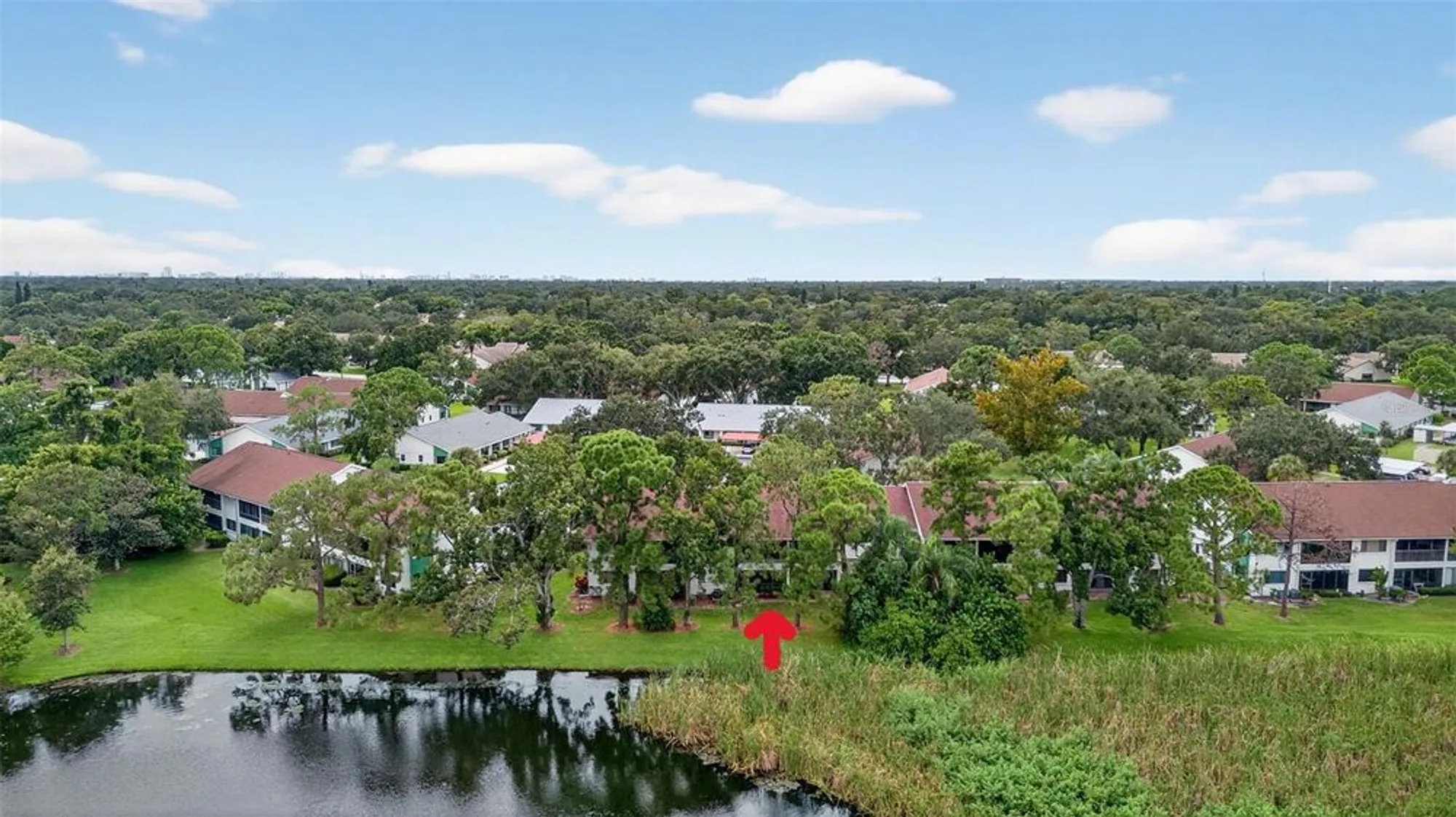 Property Slideshow image 20 of 29 | 2537 royal pines cir # 19d, Clearwater, FL, 33763