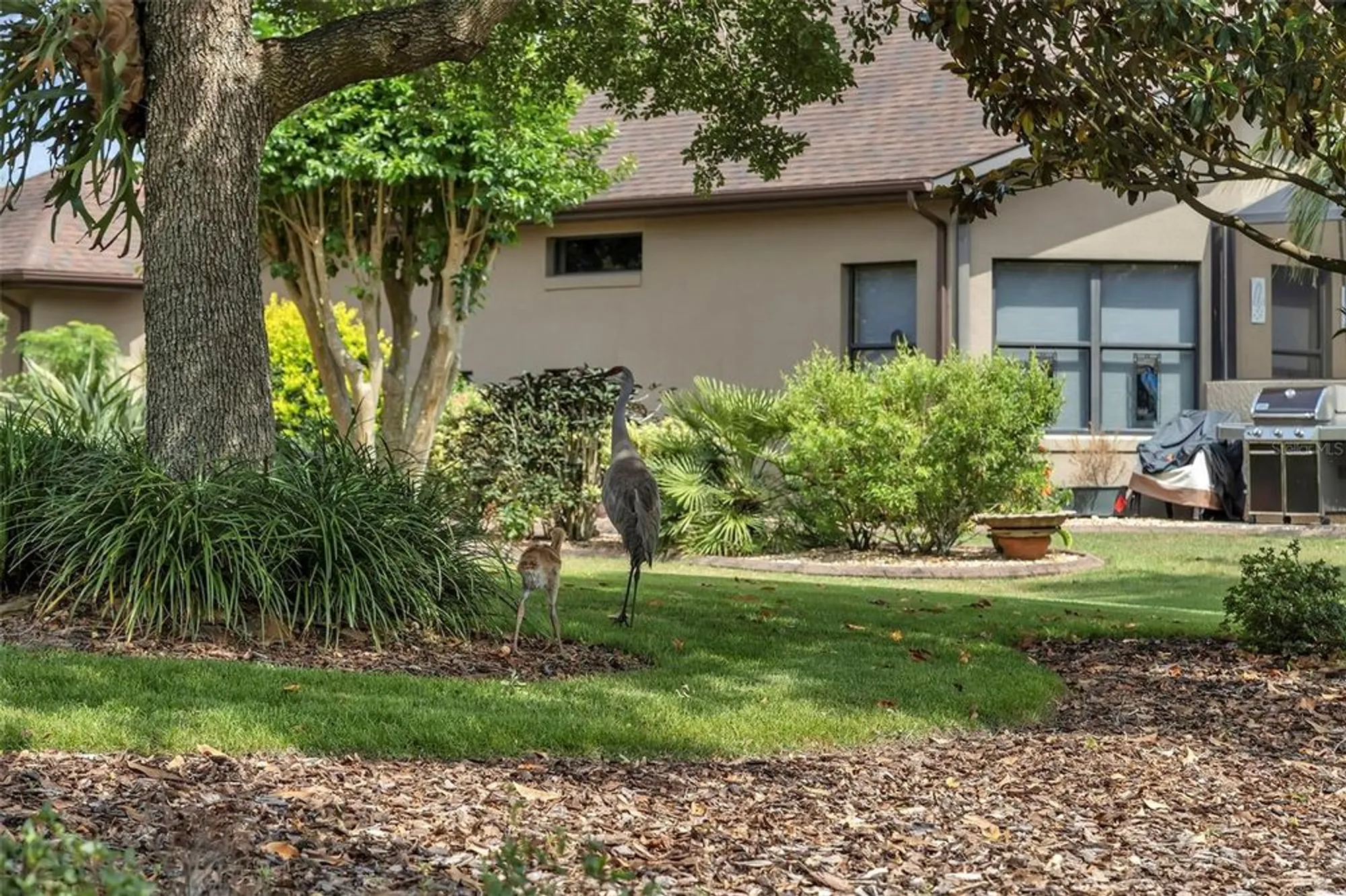 Property Slideshow image 32 of 58 | 8167 bridgeport bay cir, Mount Dora, FL, 32757