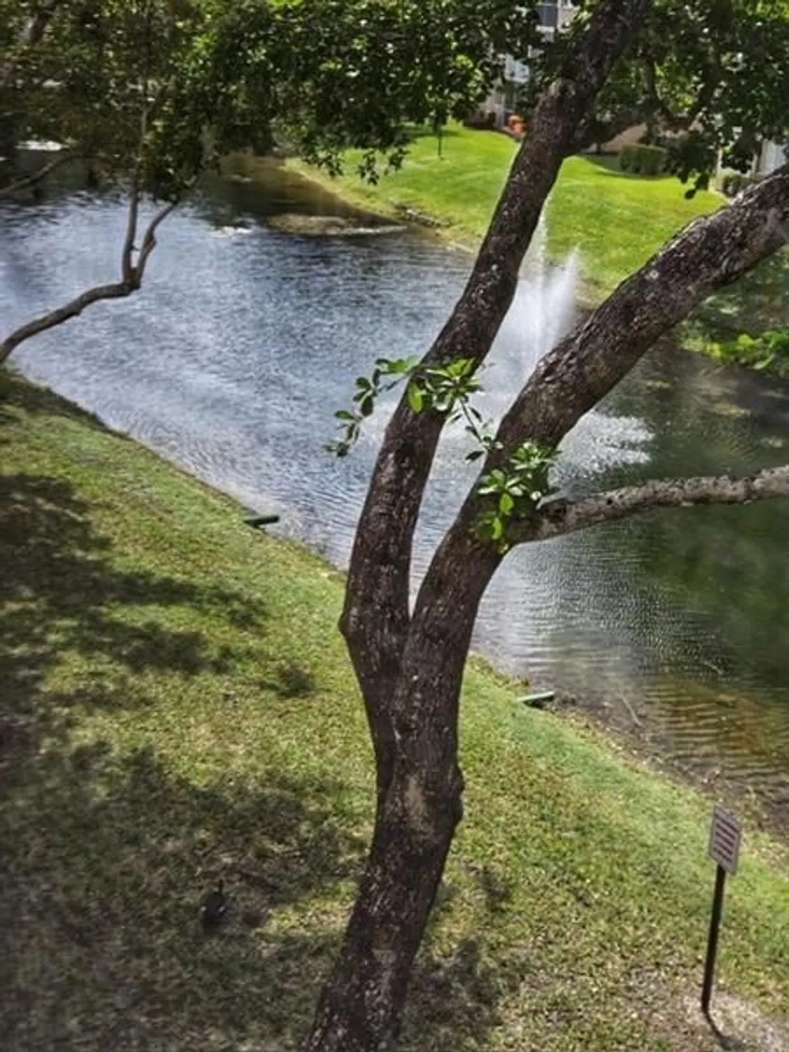 Property Slideshow image 16 of 29 | 9580 weldon cir apt k307, Fort Lauderdale, FL, 33321