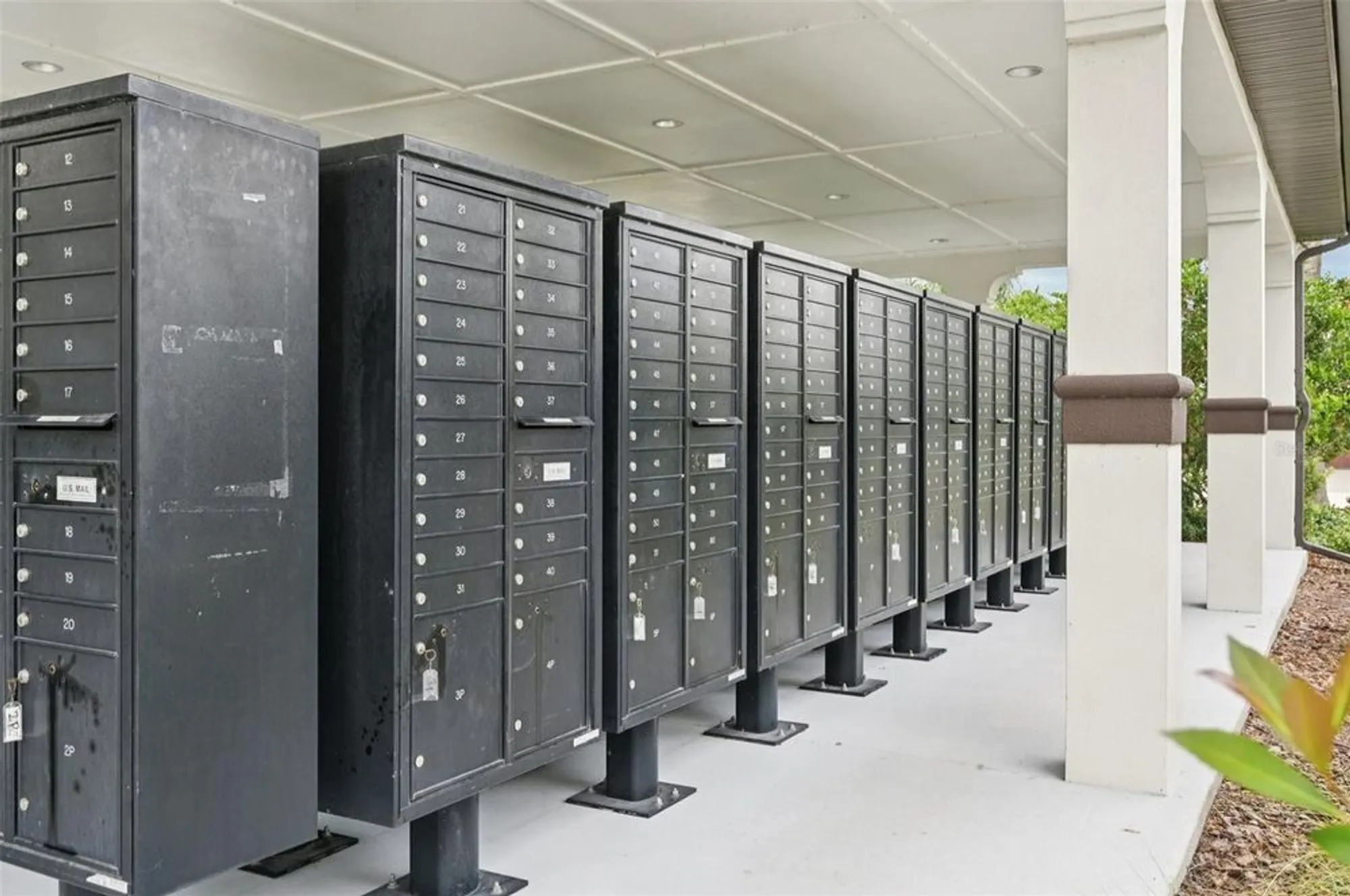 Property Slideshow image 56 of 72 | 17253 star banks st, Wimauma, FL, 33598