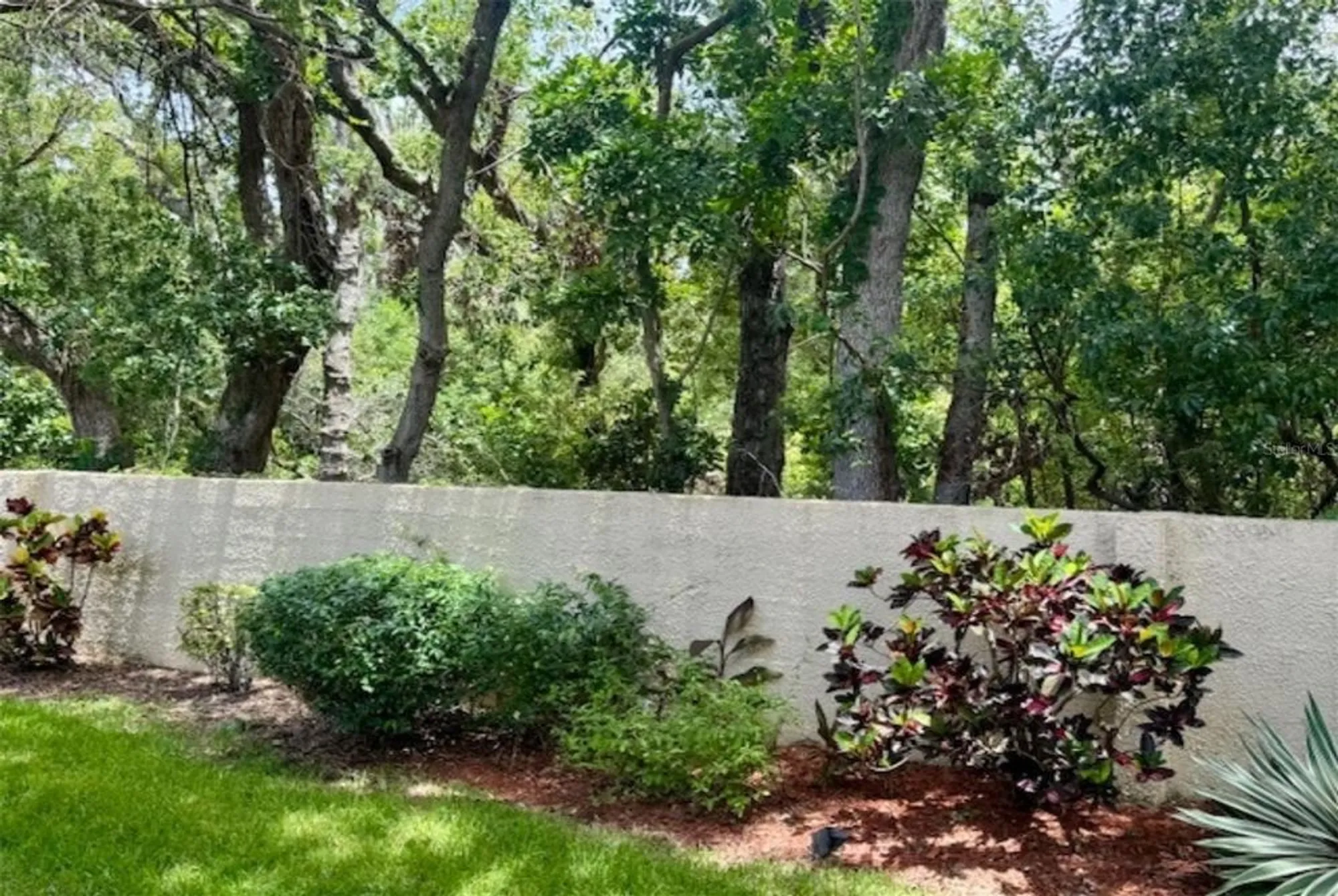 Property Slideshow image 33 of 84 | 1701 pinehurst rd apt 24b, Dunedin, FL, 34698